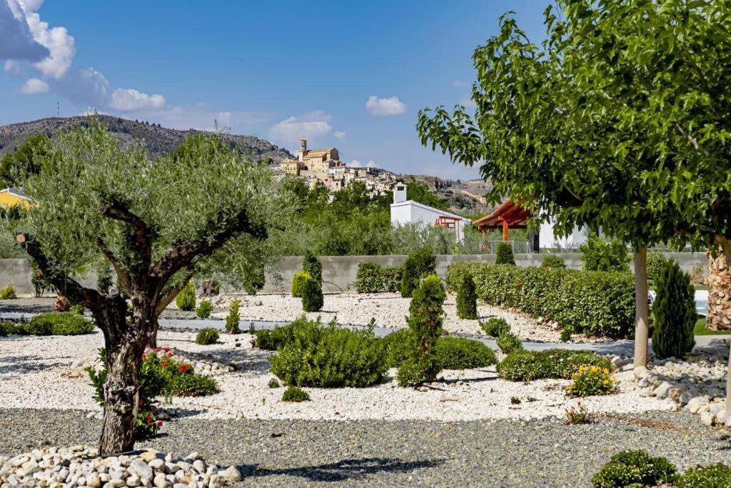 Casas Cristea