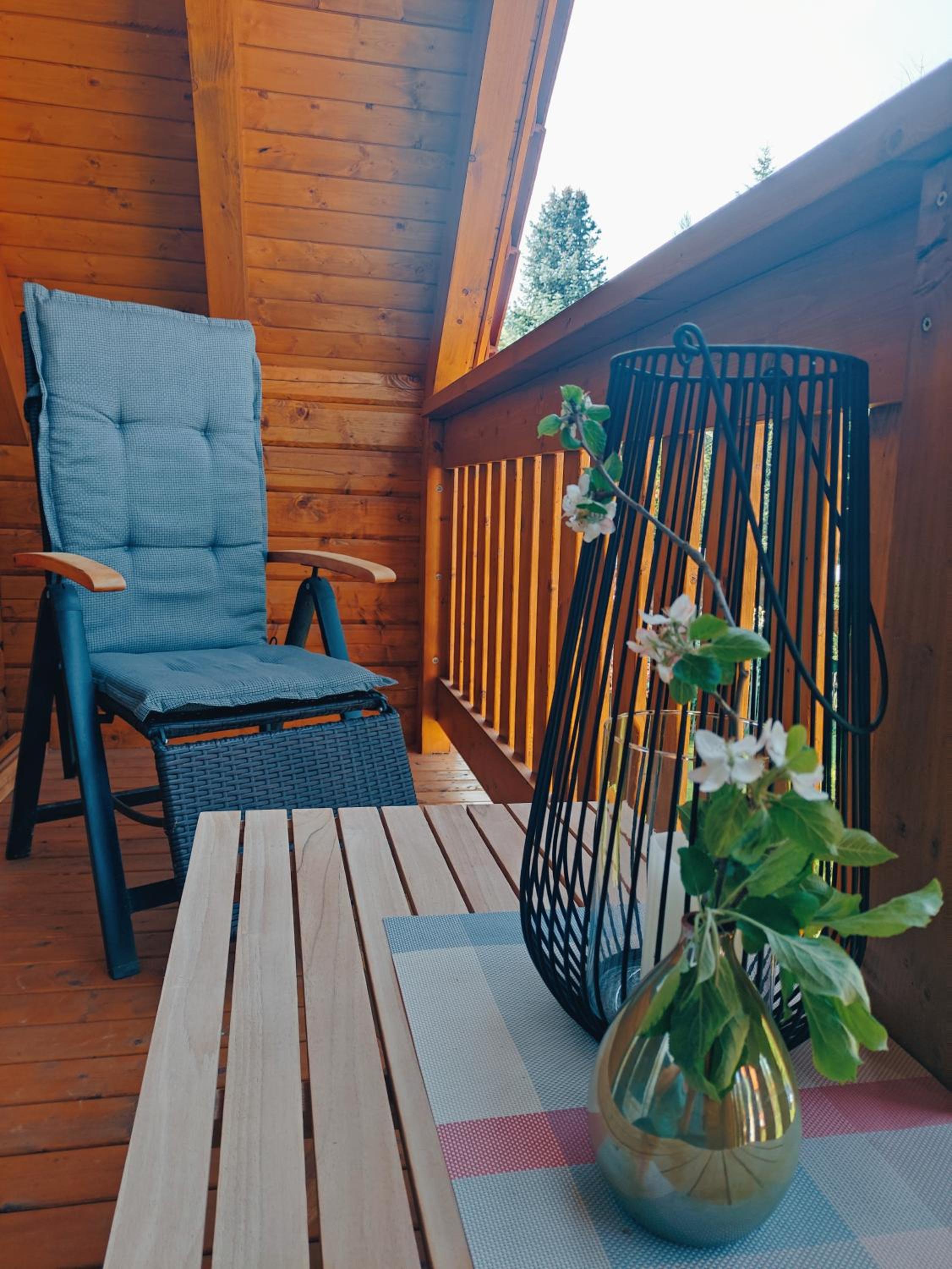 Ferienhaus Birkholz Harz