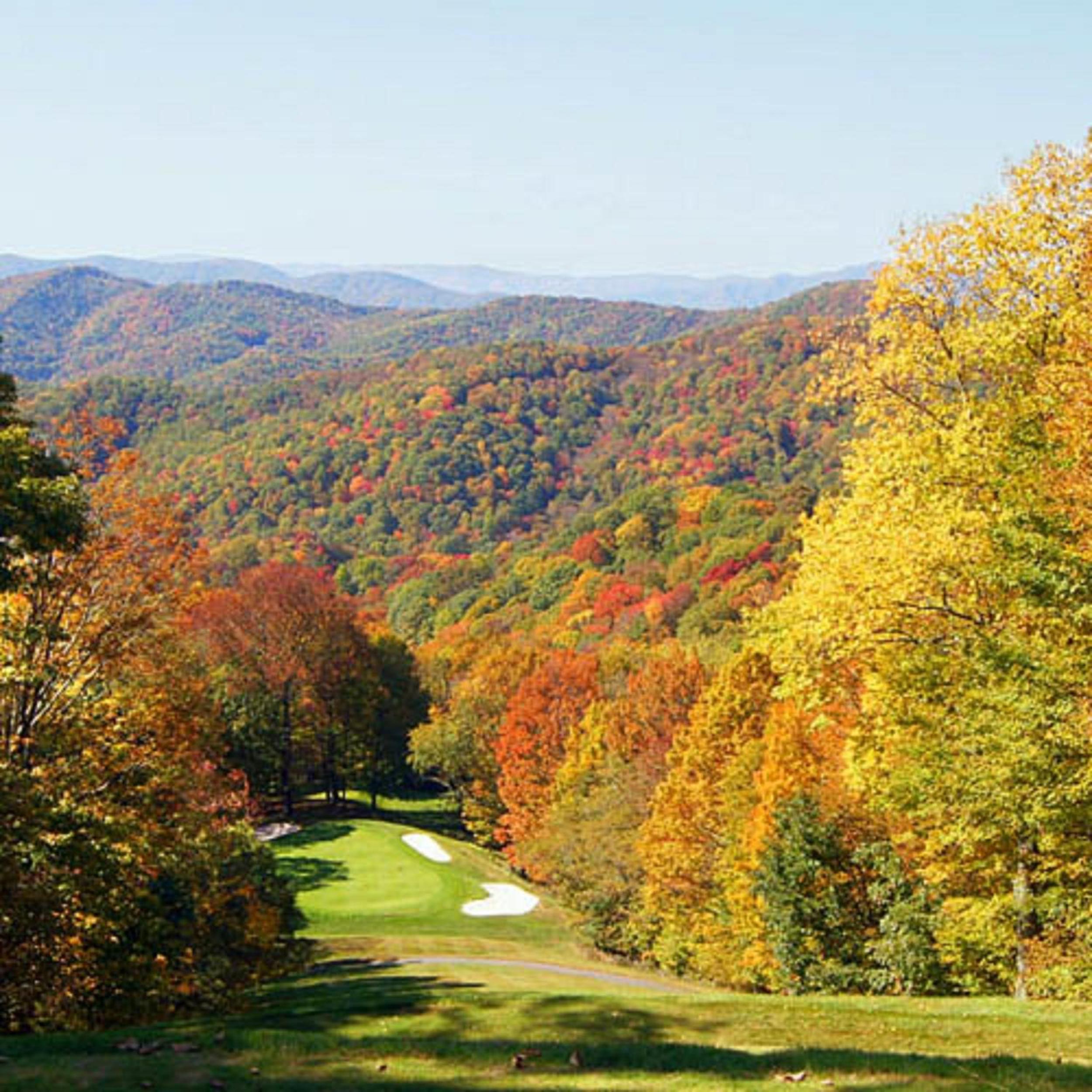 Timber Ridge Retreat