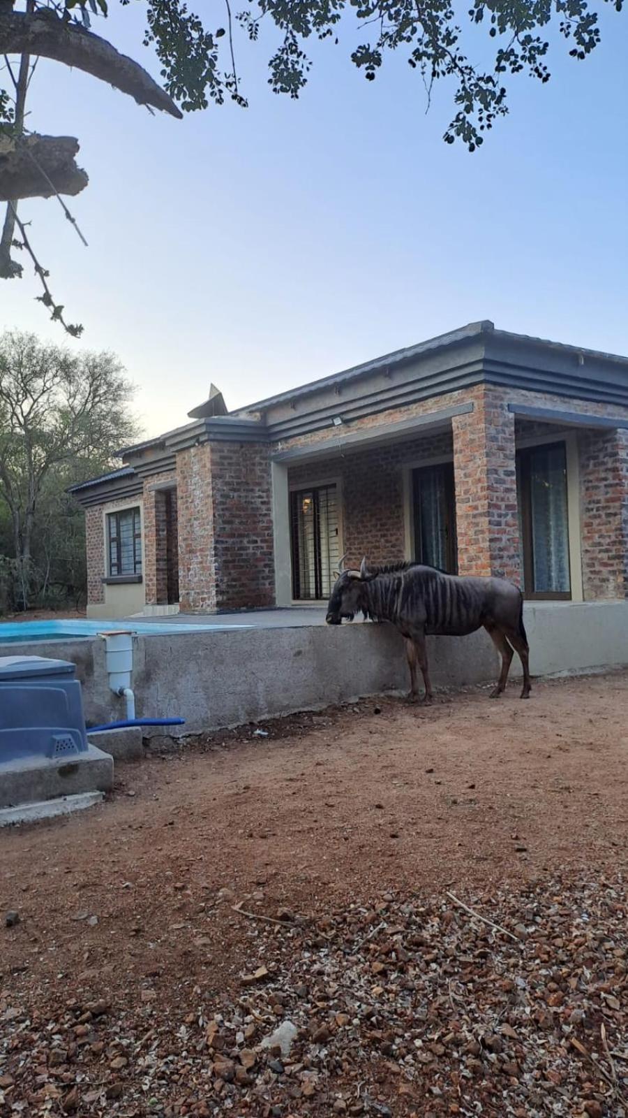Nanisto Bush Lodge view 3