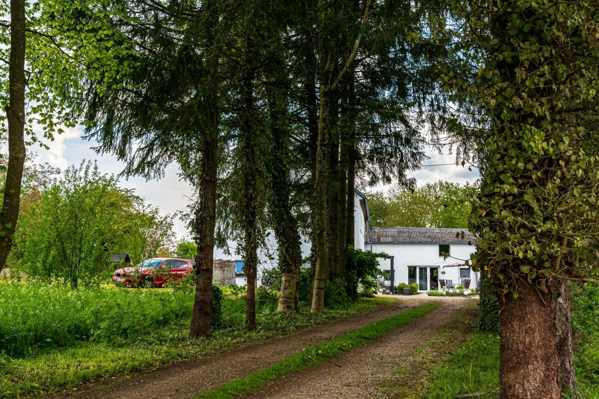 Eifel-Apartments Orsfeld