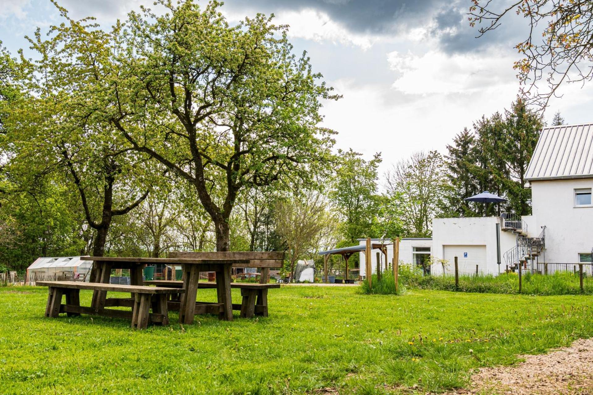 Eifel-Apartments Orsfeld