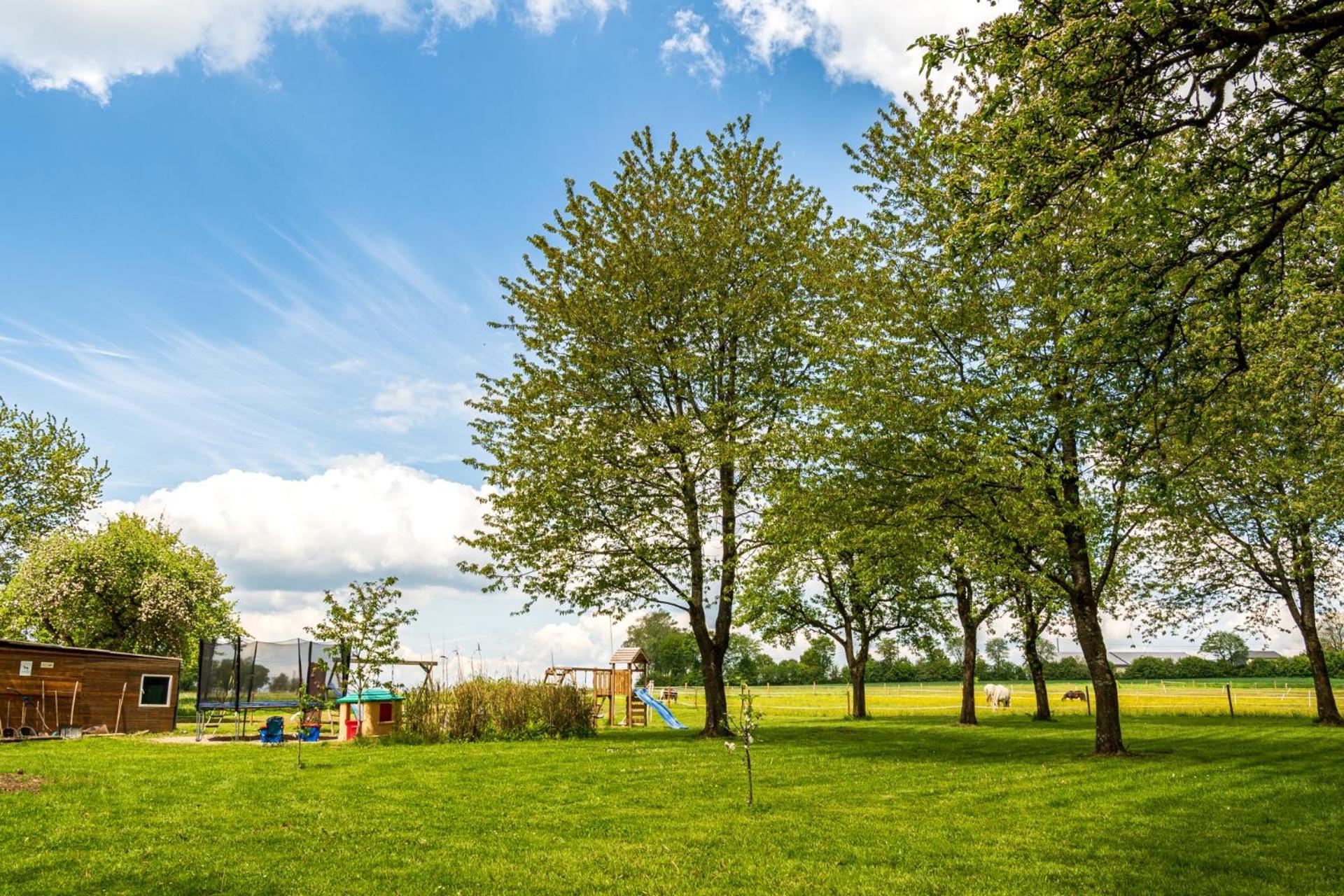 Eifel-Apartments Orsfeld