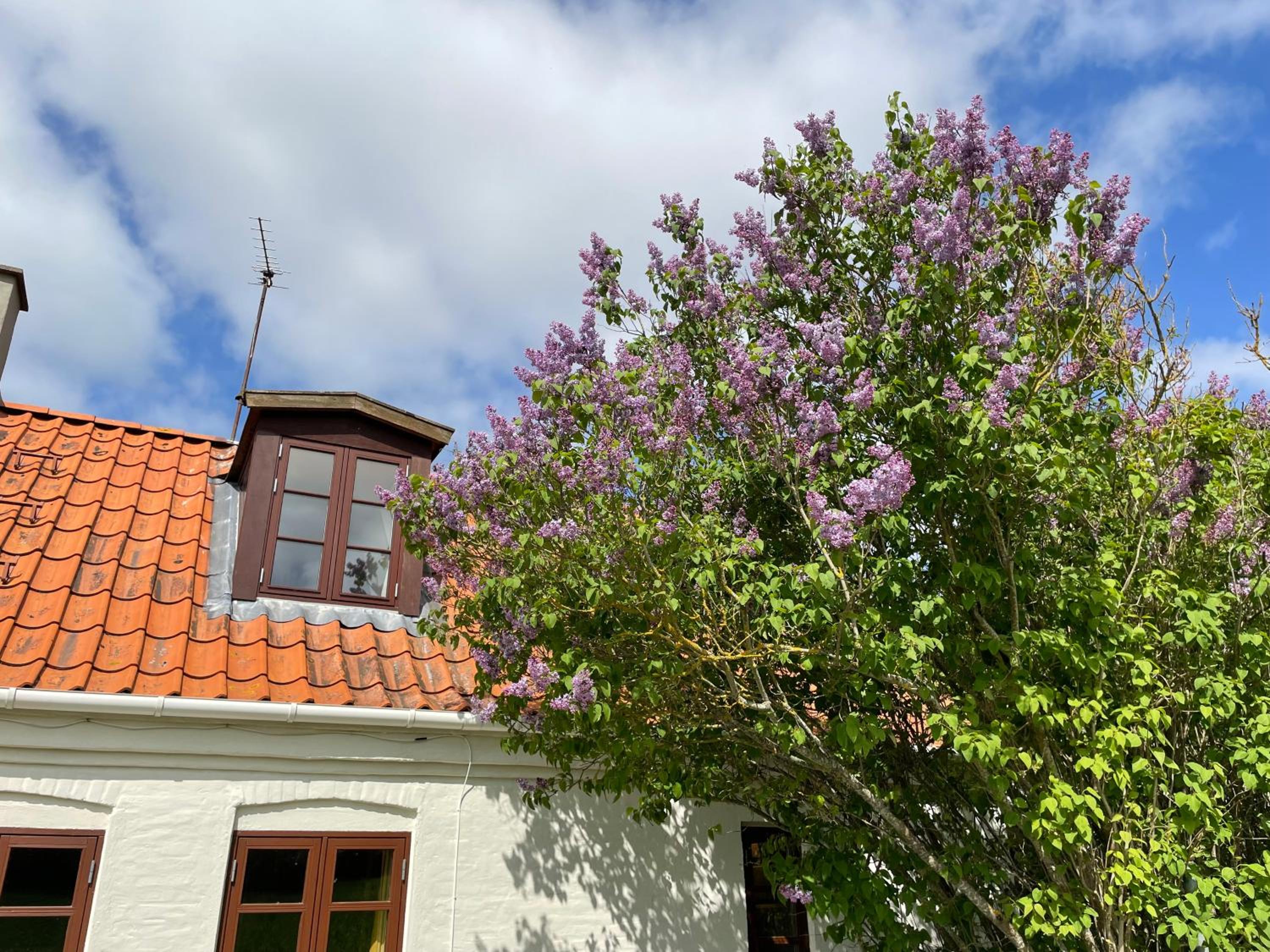 A true nature pearl in idyllic surroundings but close to the city view 3