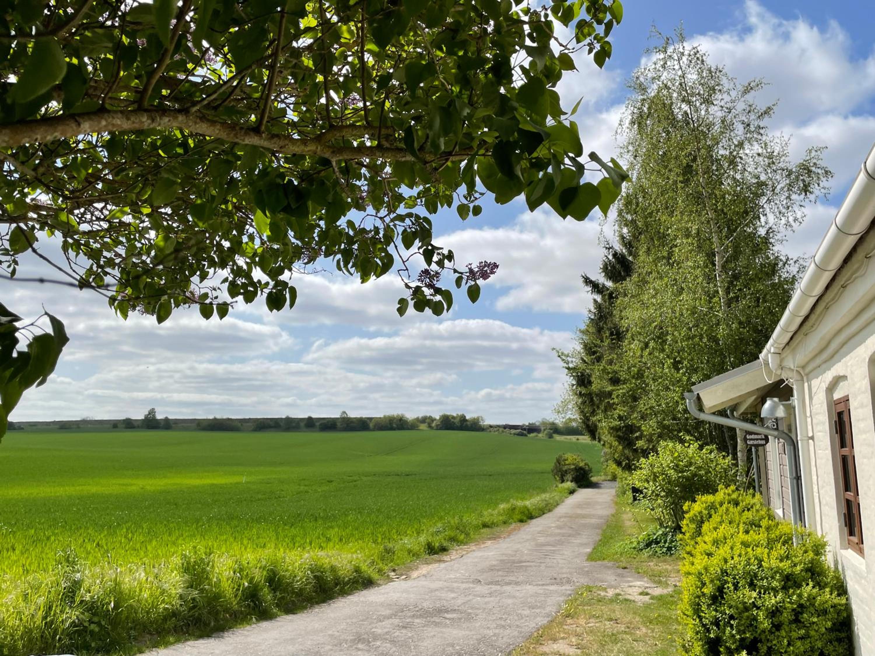 A true nature pearl in idyllic surroundings but close to the city view 5