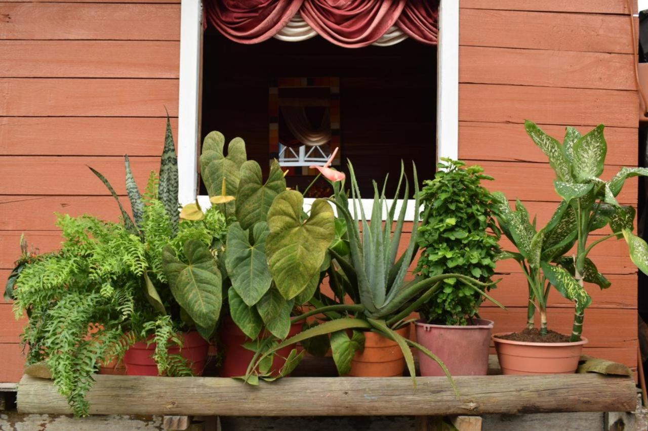 Posada Jurubirá