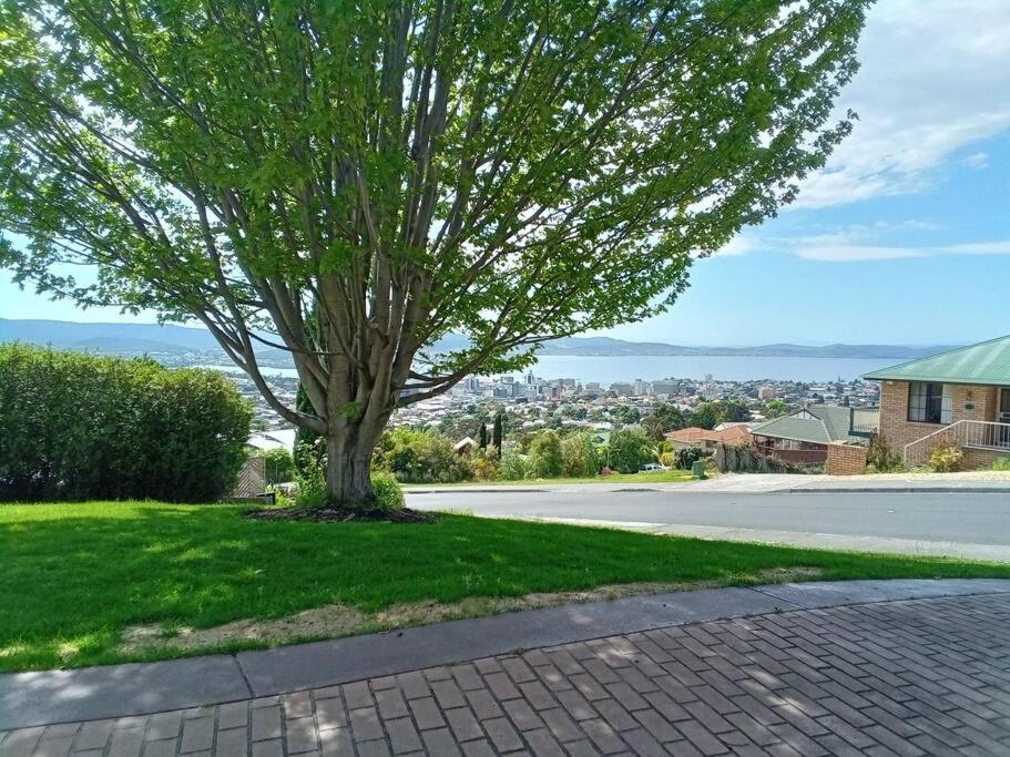 West Hobart self contained 1 bedroom studio walk to town