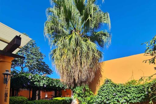 Hostal Paradiso