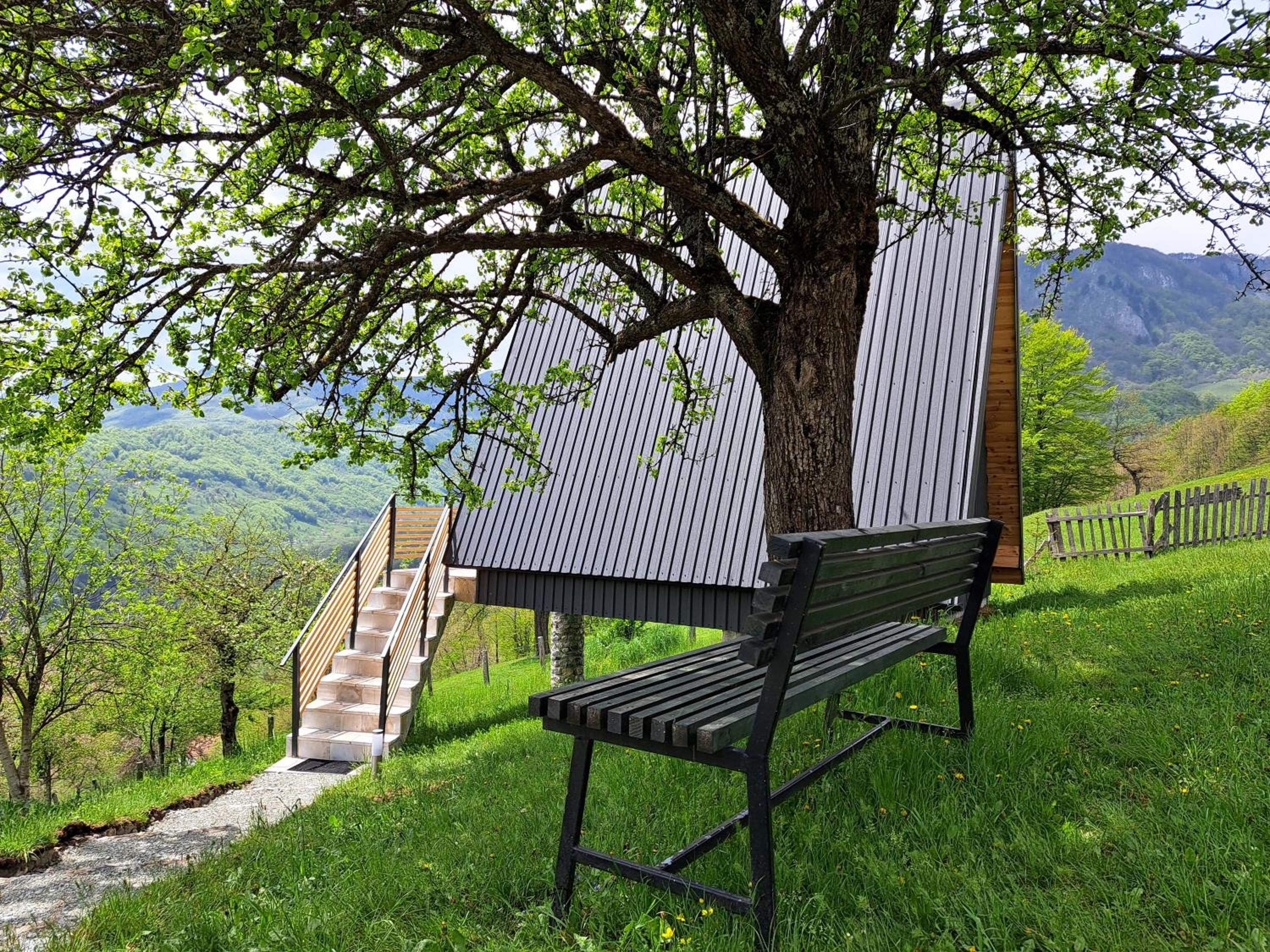 Fern Farm Tiny Home photo 4