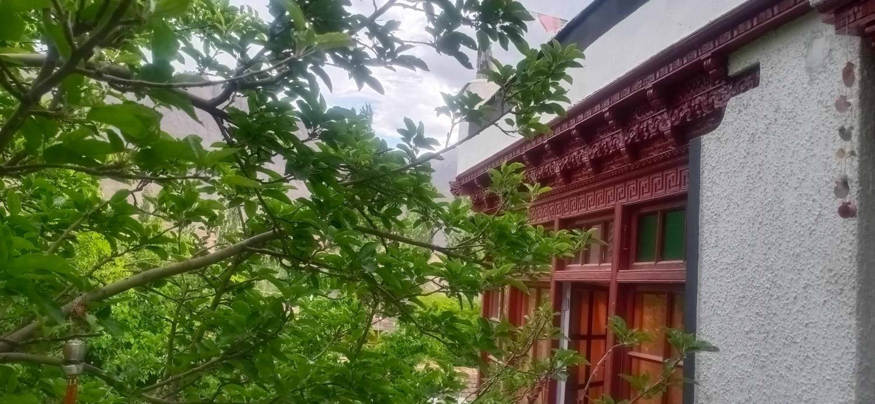 Denmo Homestay, Saspol view 5
