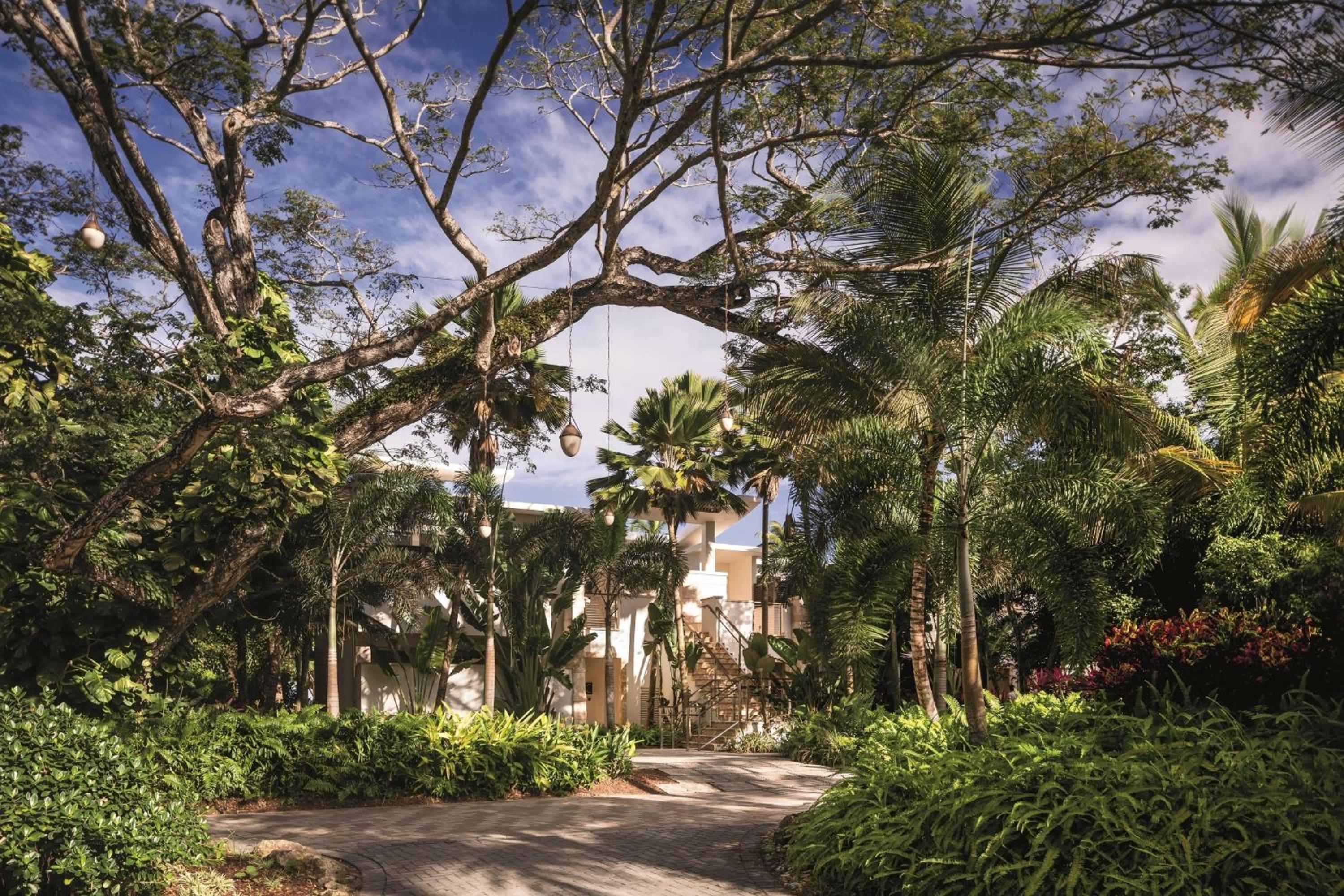 Dorado Beach, a Ritz-Carlton Reserve - Property Image 50