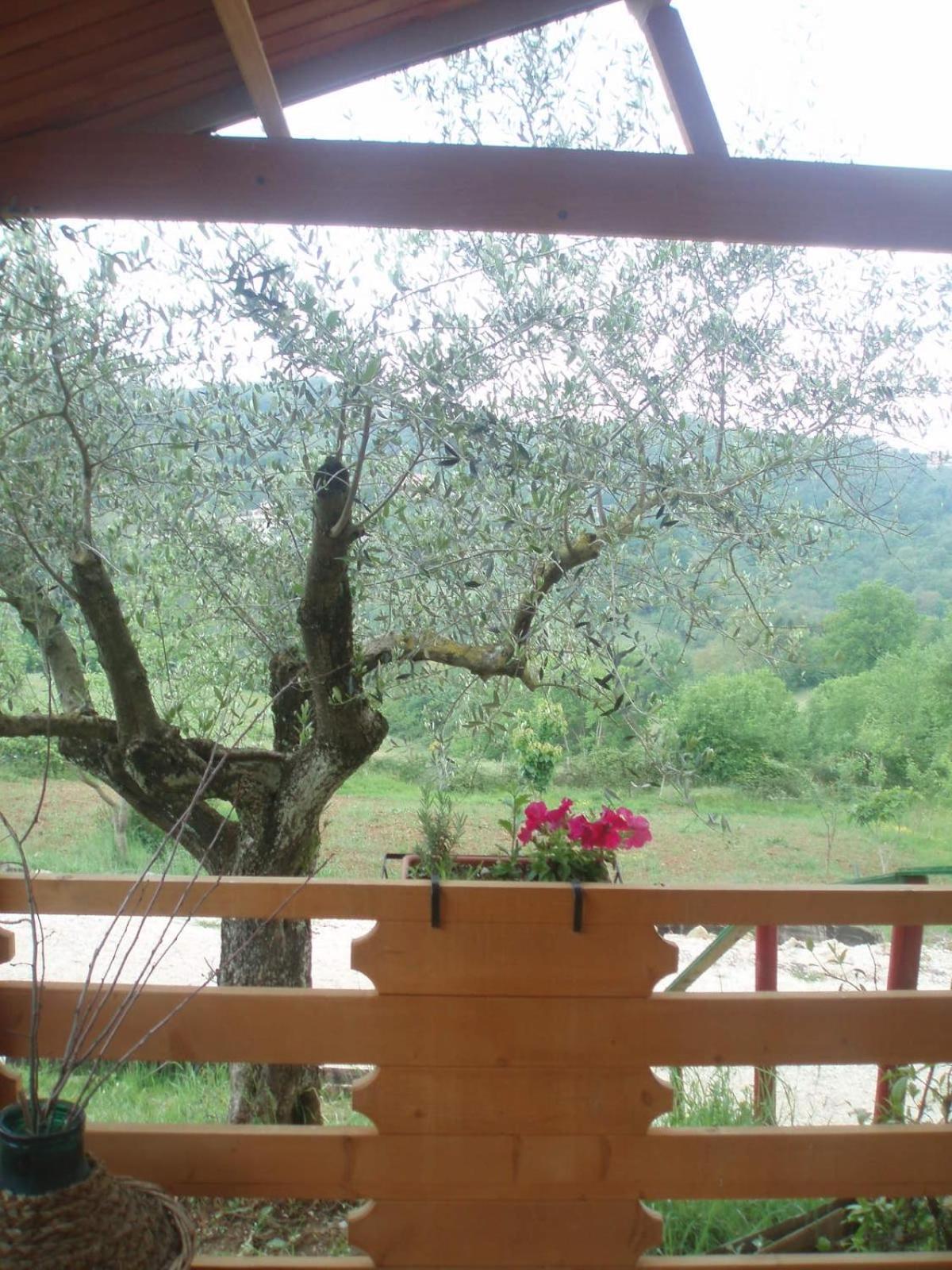 Agriturismo Cisogna