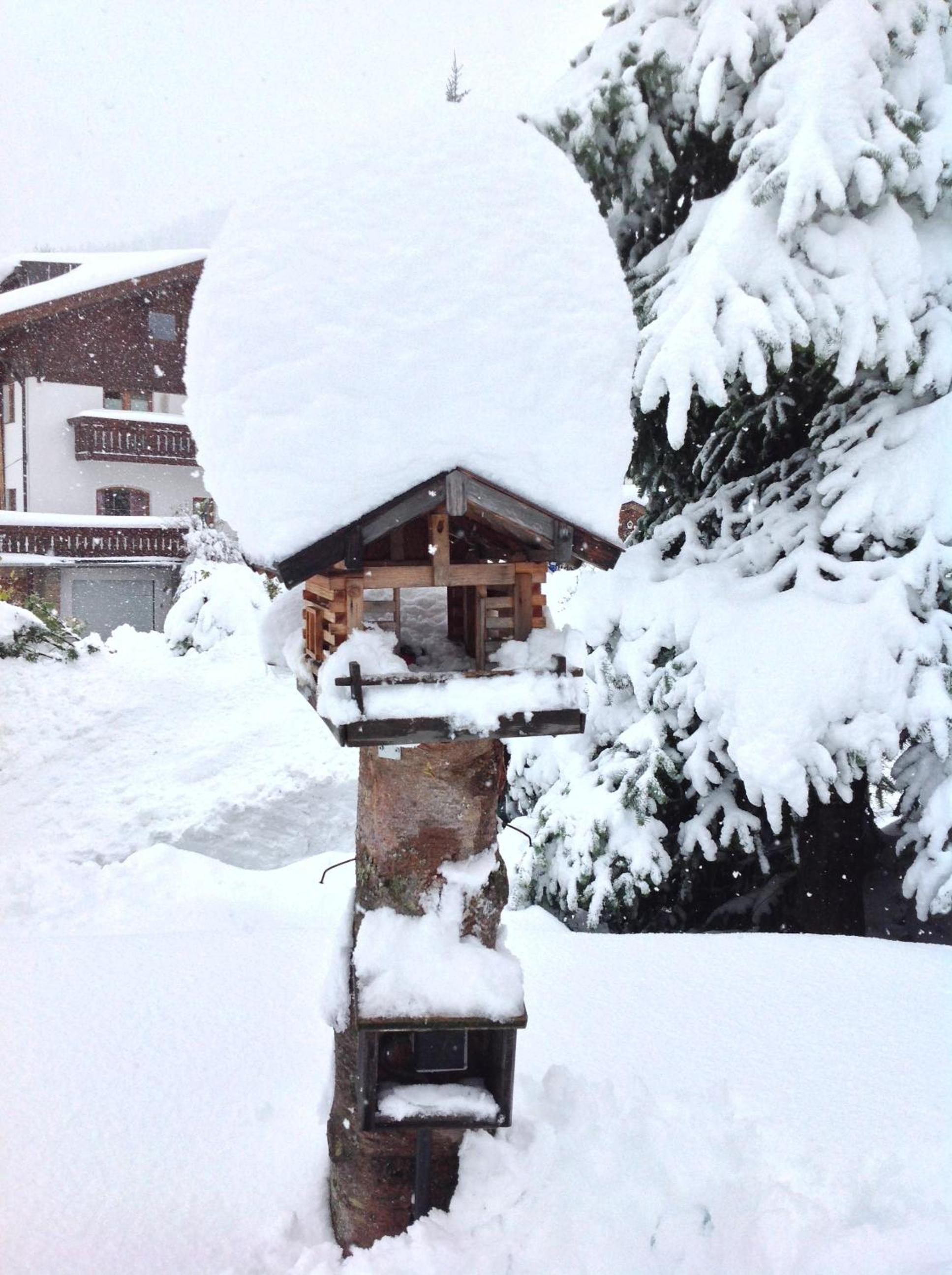 Haus Amann
