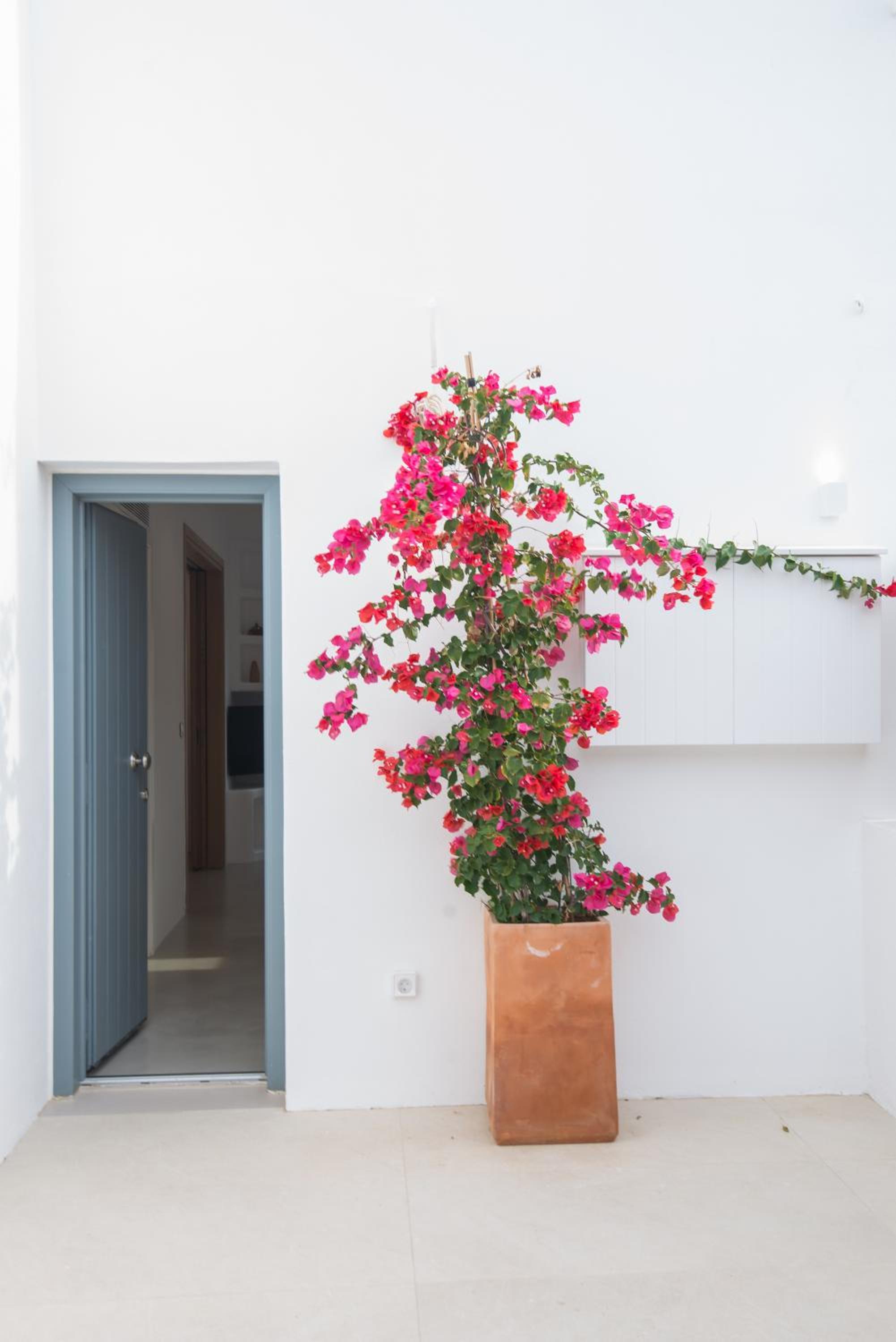 Aba Ηospitalité, The Deluxe Suite, Naousa photo 4