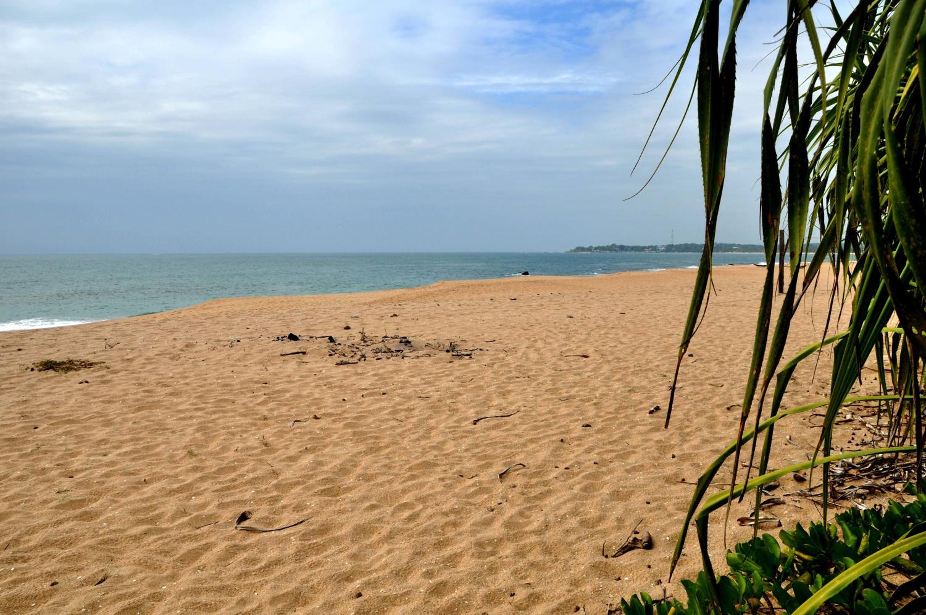 The Waves Beach Chalets
