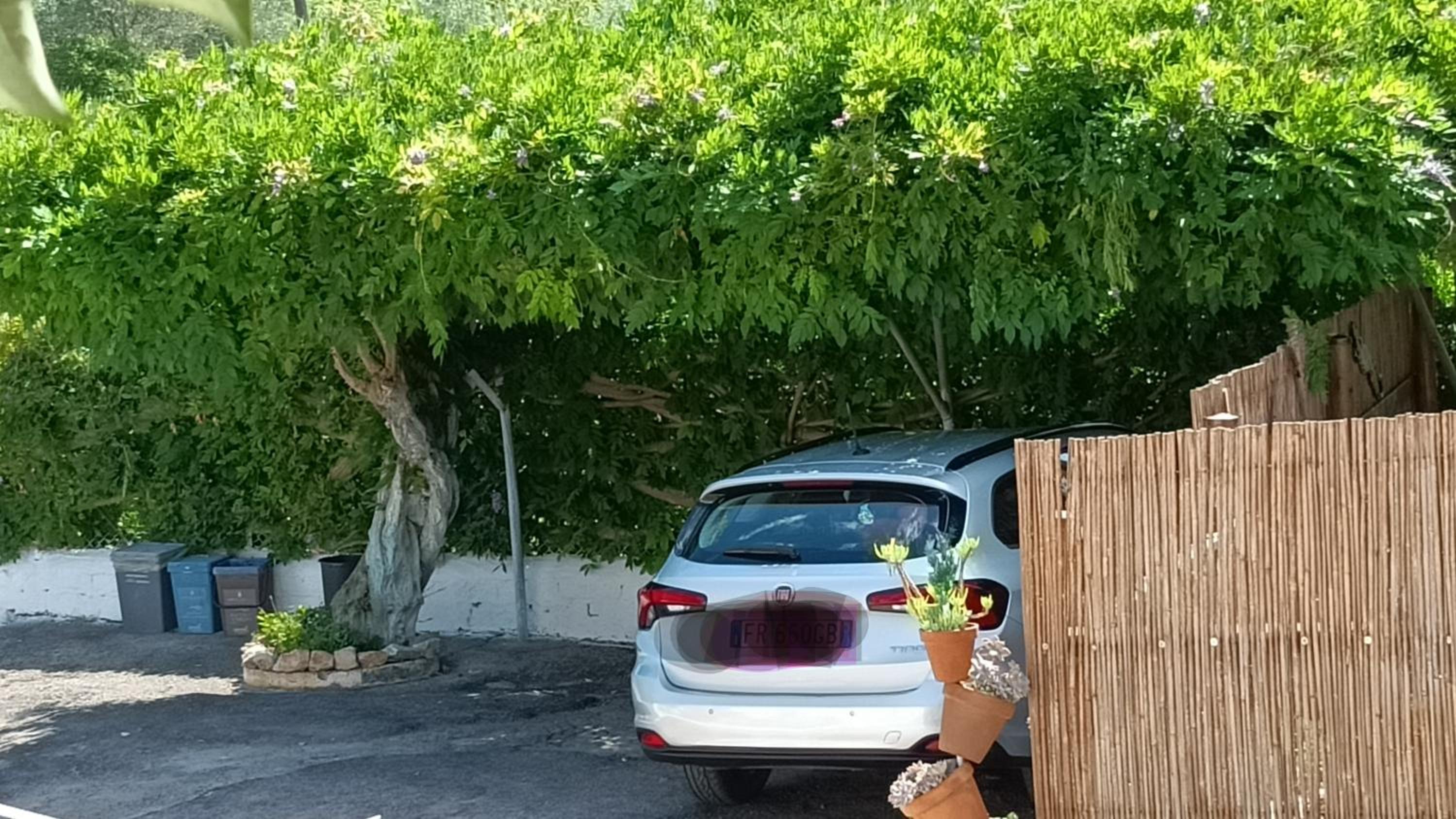 parking