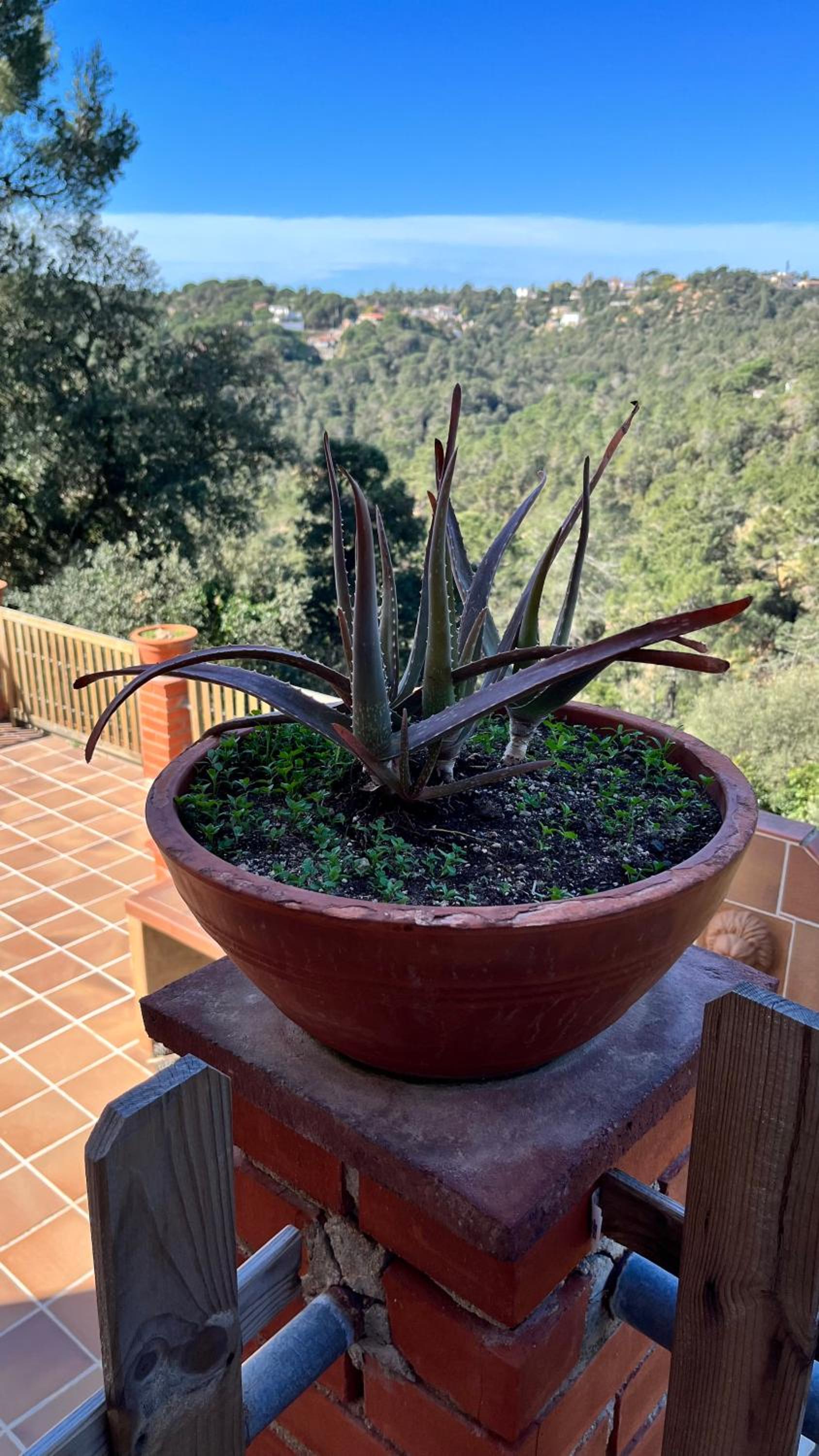 Villa Paradise Lloret