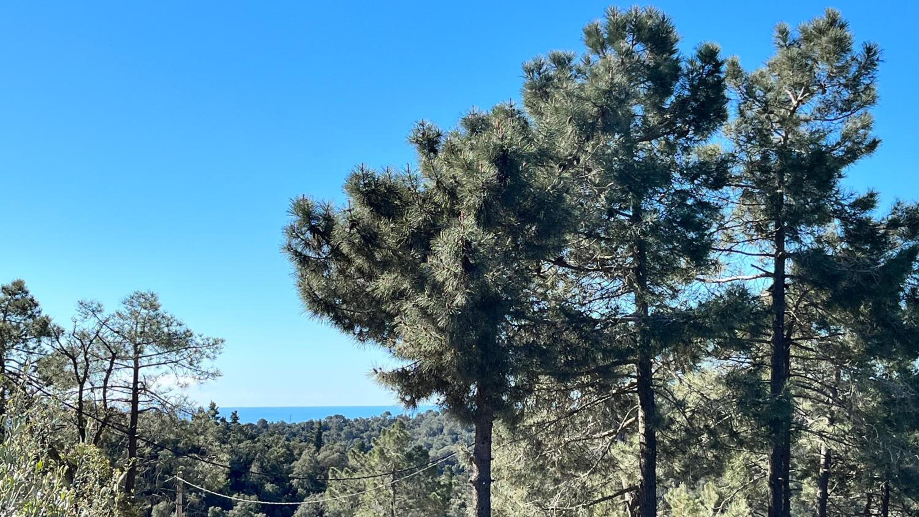 Villa Paradise Lloret