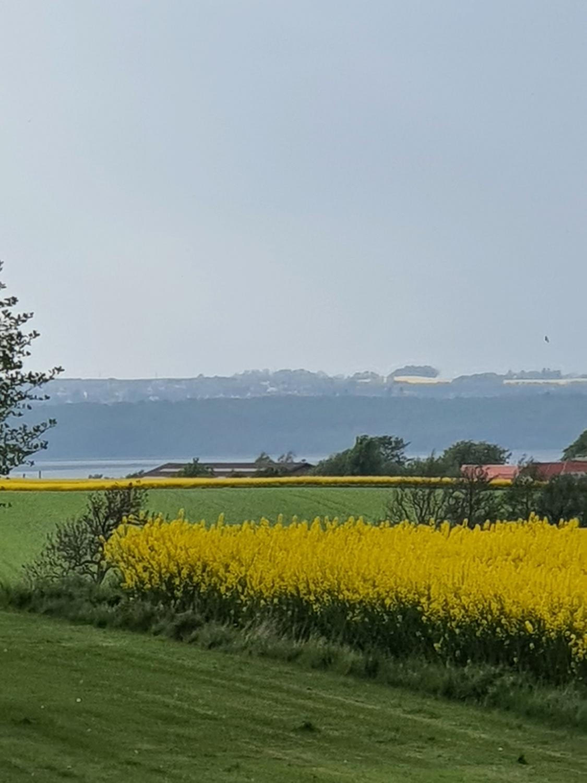 Molshøjgård
