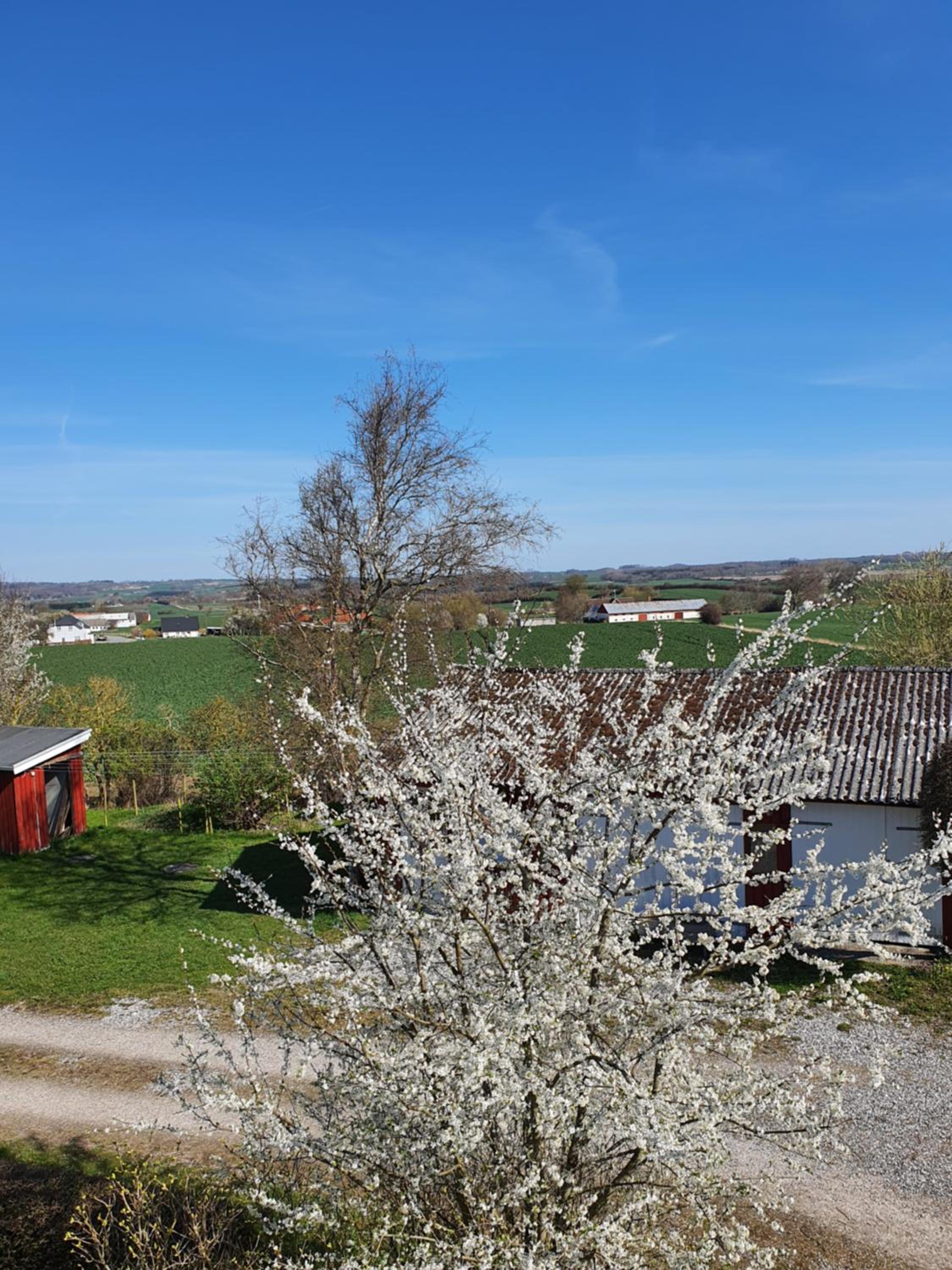 Molshøjgård