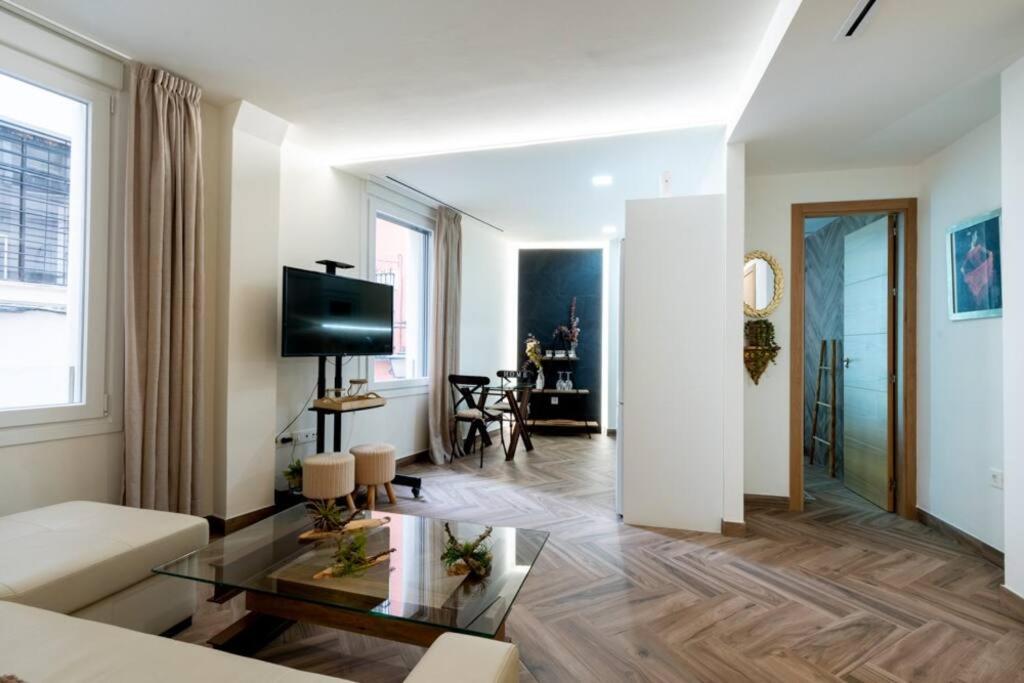 Fantastic apartment downtown Sevilla Murillo st