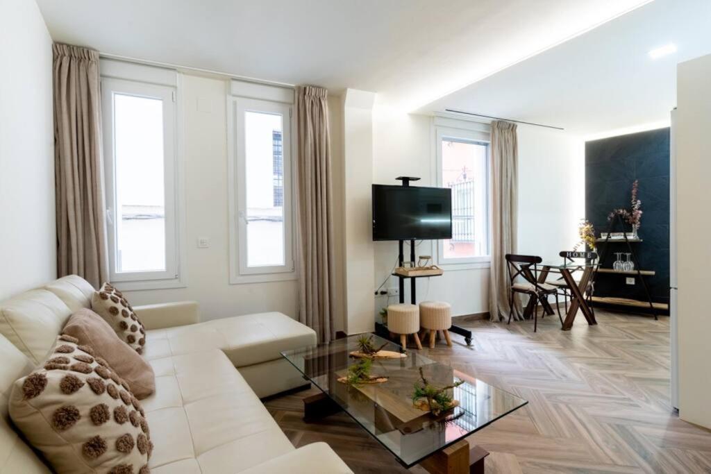Fantastic apartment downtown Sevilla Murillo st