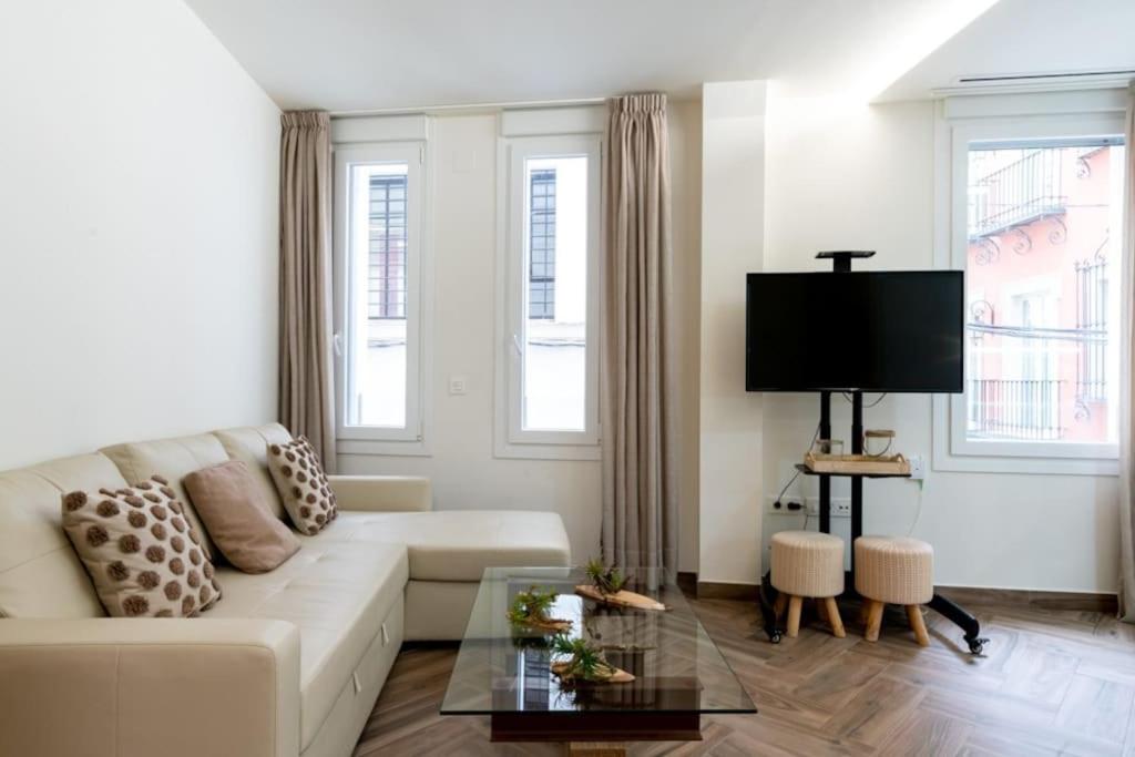 Fantastic apartment downtown Sevilla Murillo st