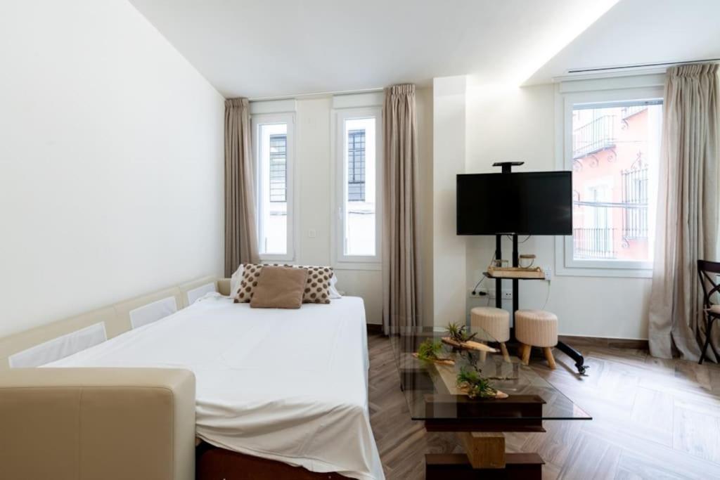 Fantastic apartment downtown Sevilla Murillo st