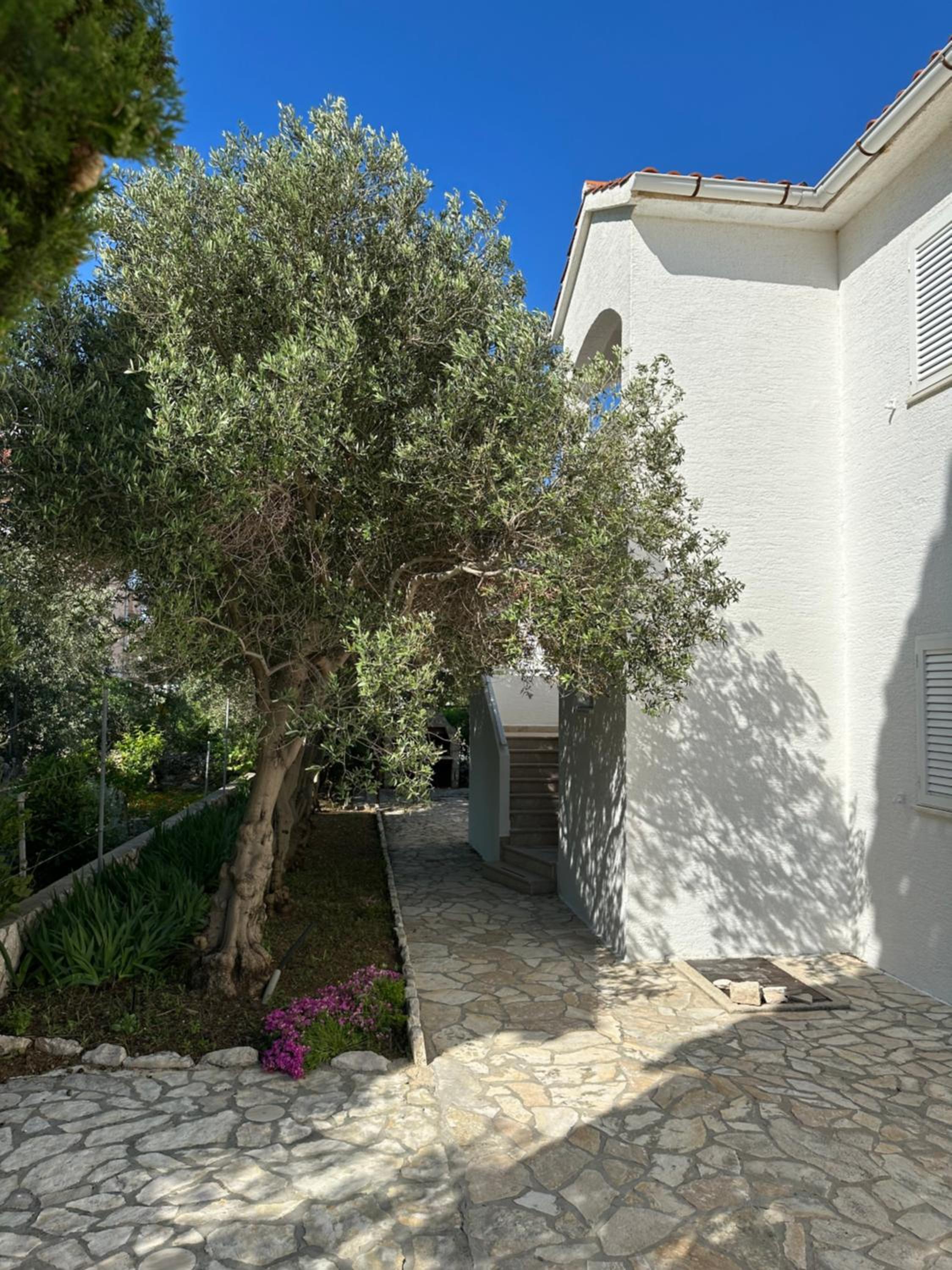 Apartmani Marko