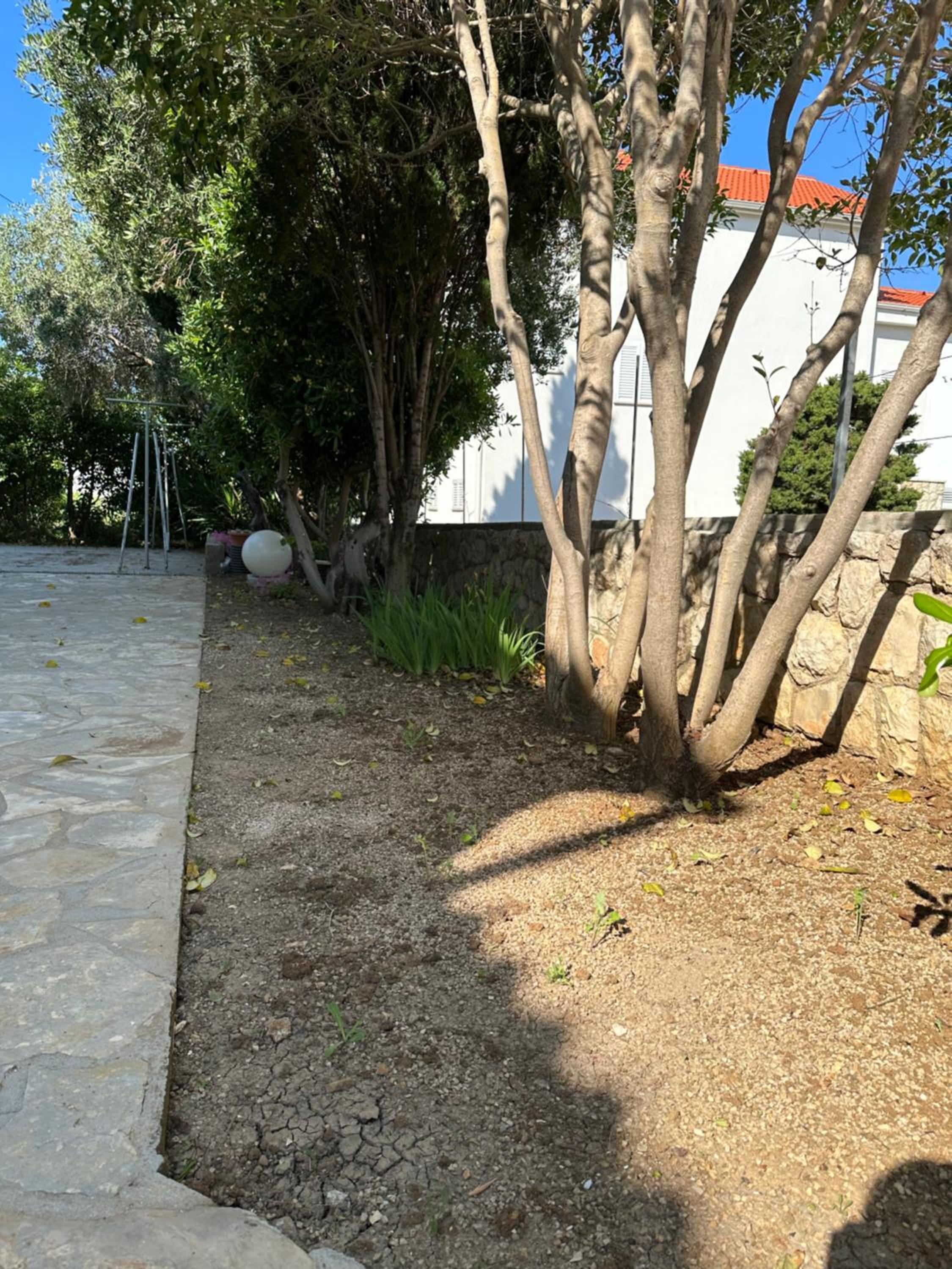 Apartmani Marko