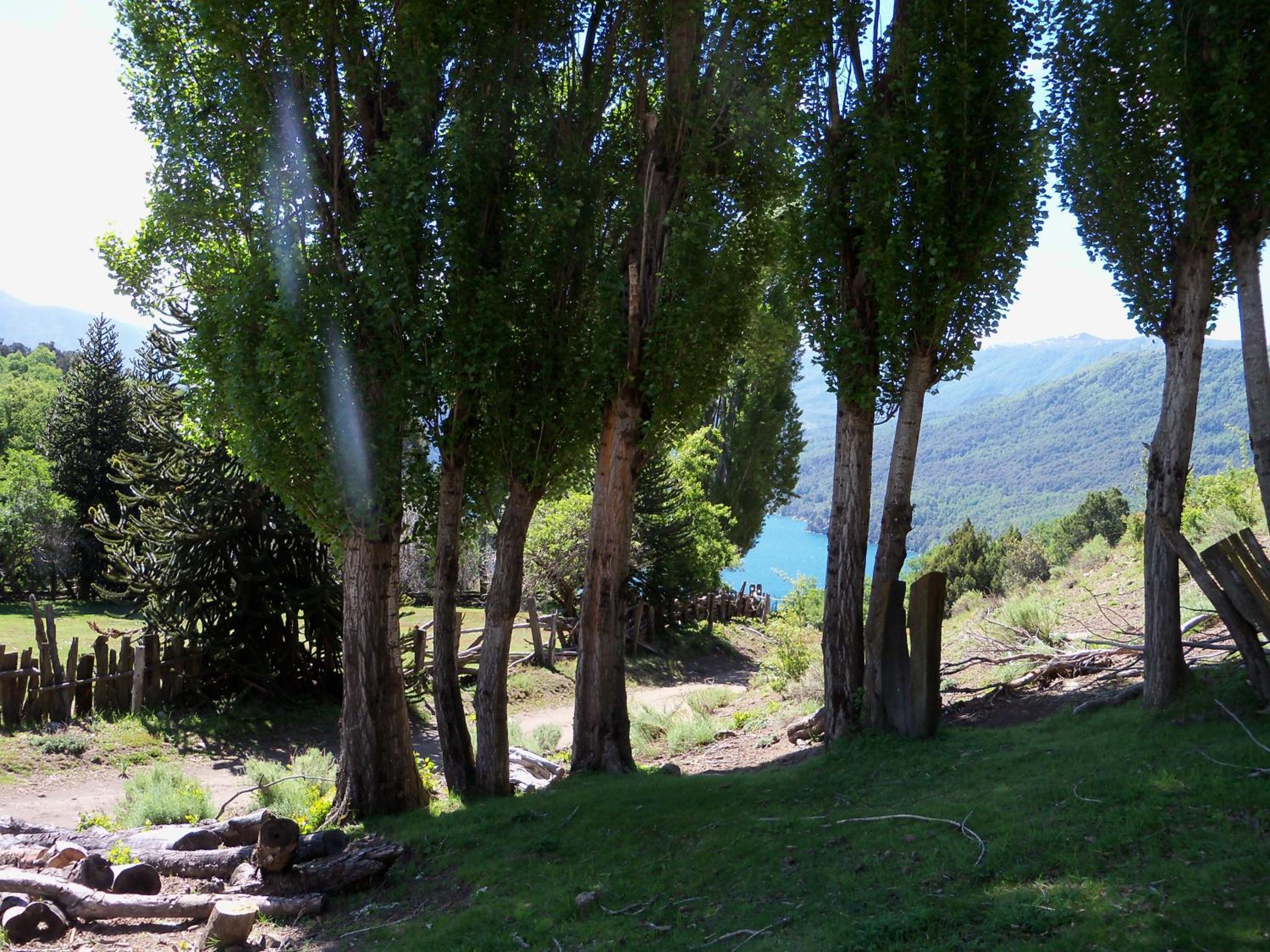 El Cipresal- Cabaña Epuyen