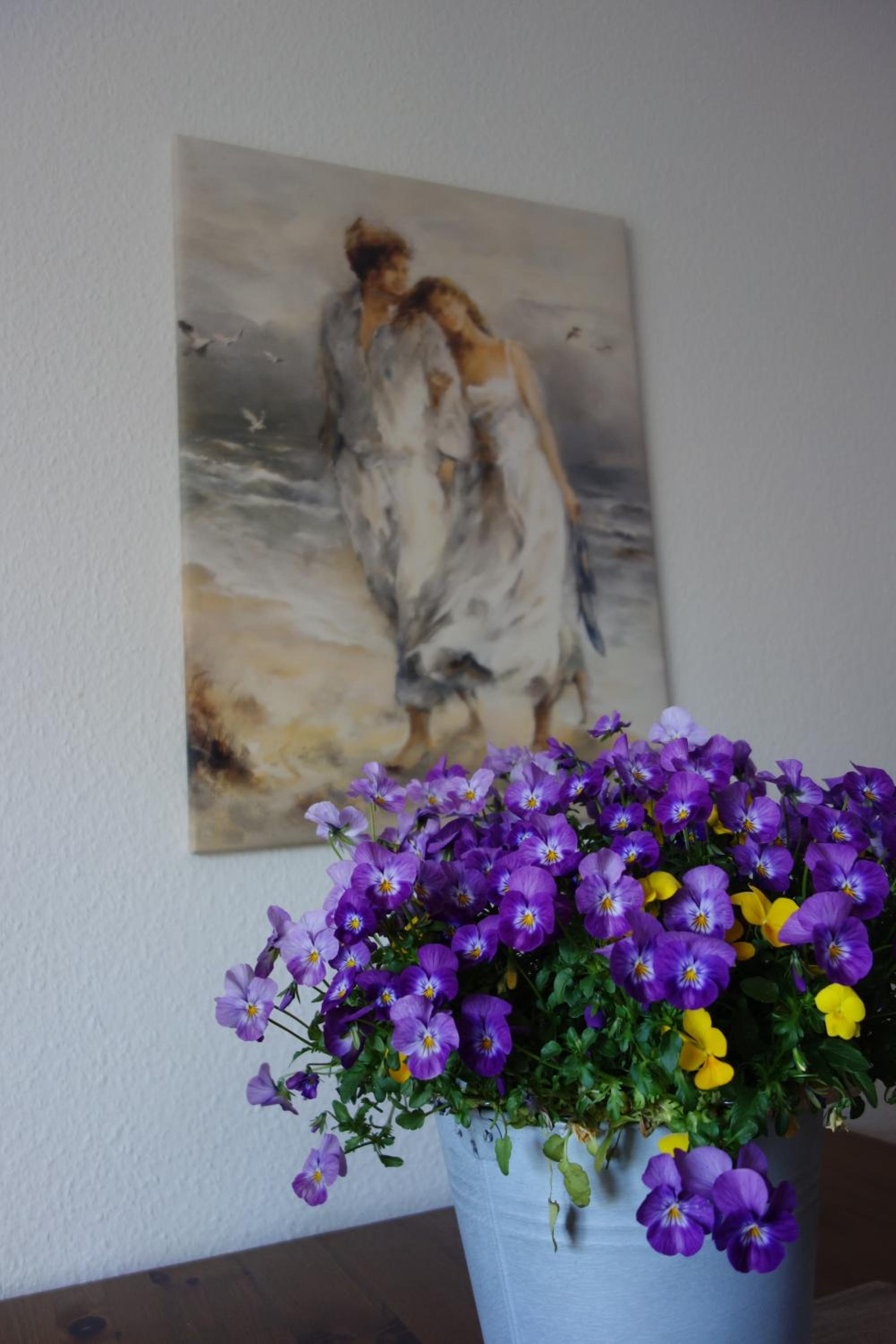 Ferienhaus Karlin