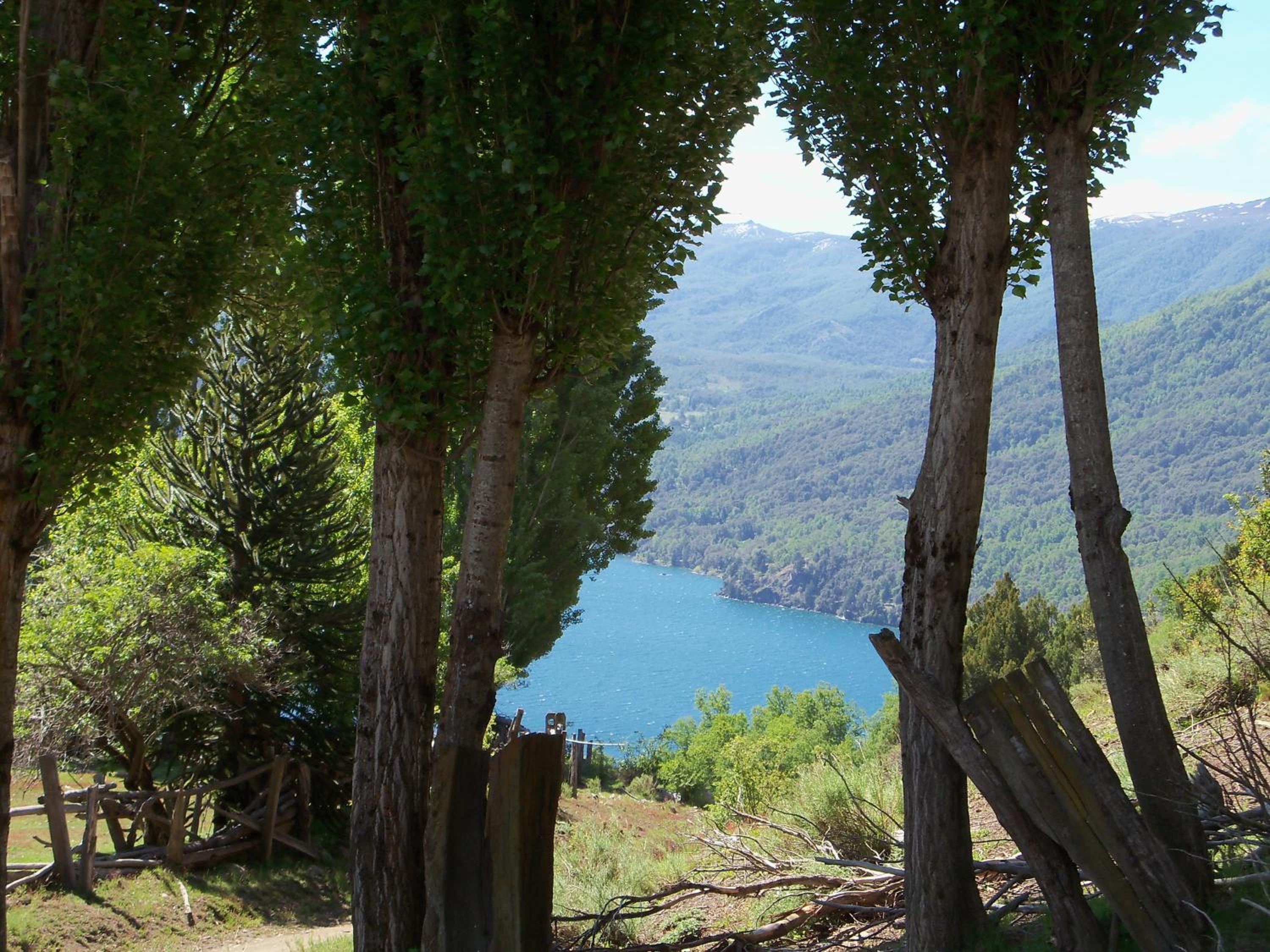 El Cipresal- Cabaña Epuyen