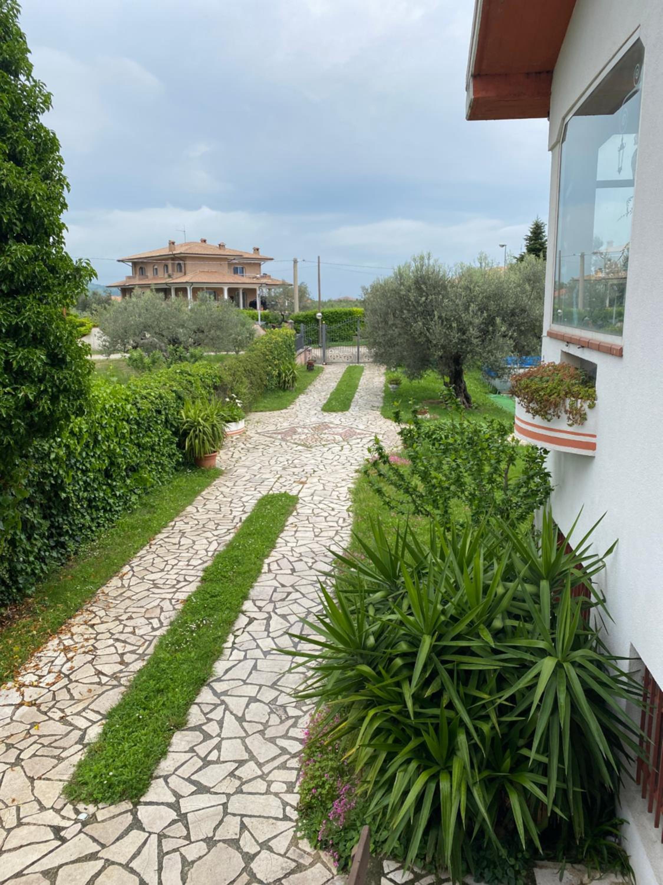 Photo 25