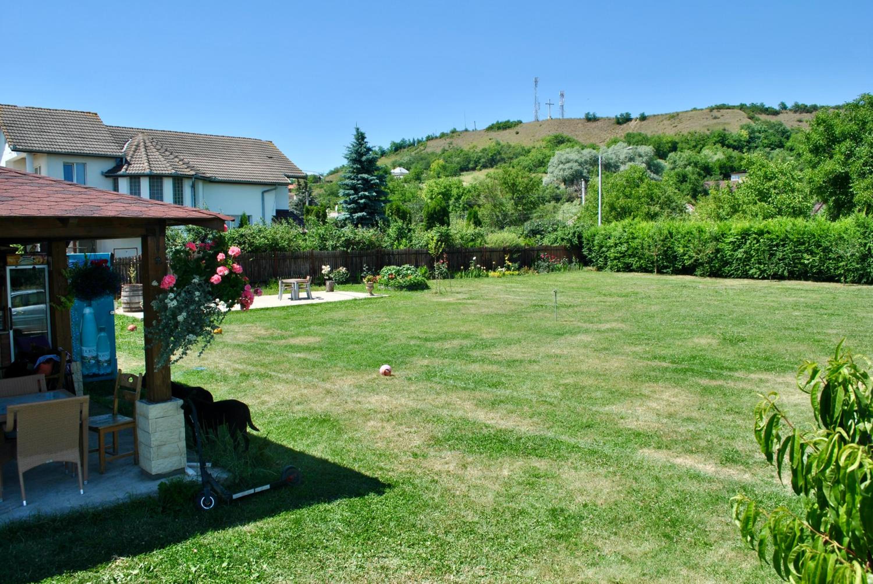 Photo 43