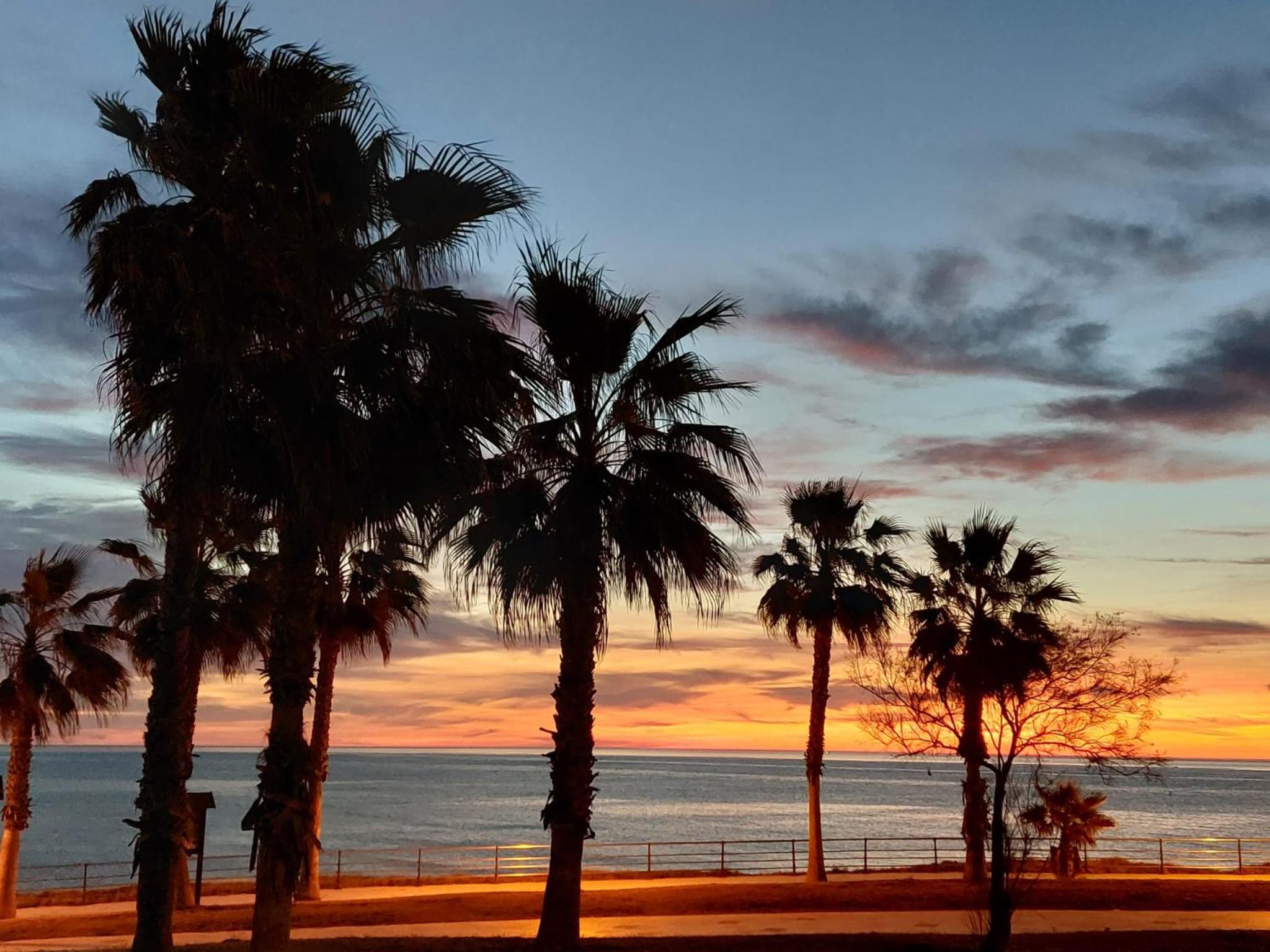 ZENIA HOSTEL view 3