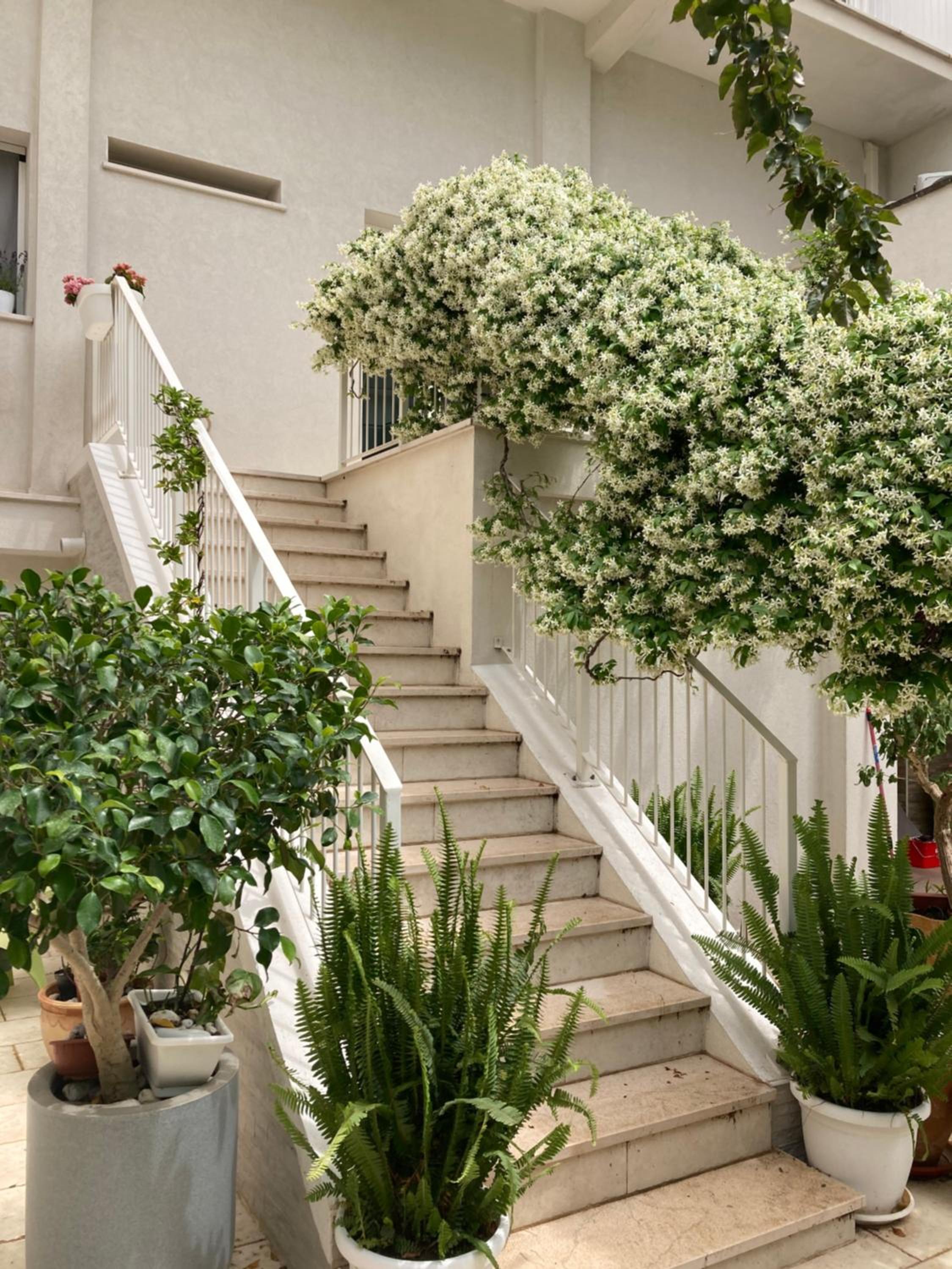 Meraki B&B