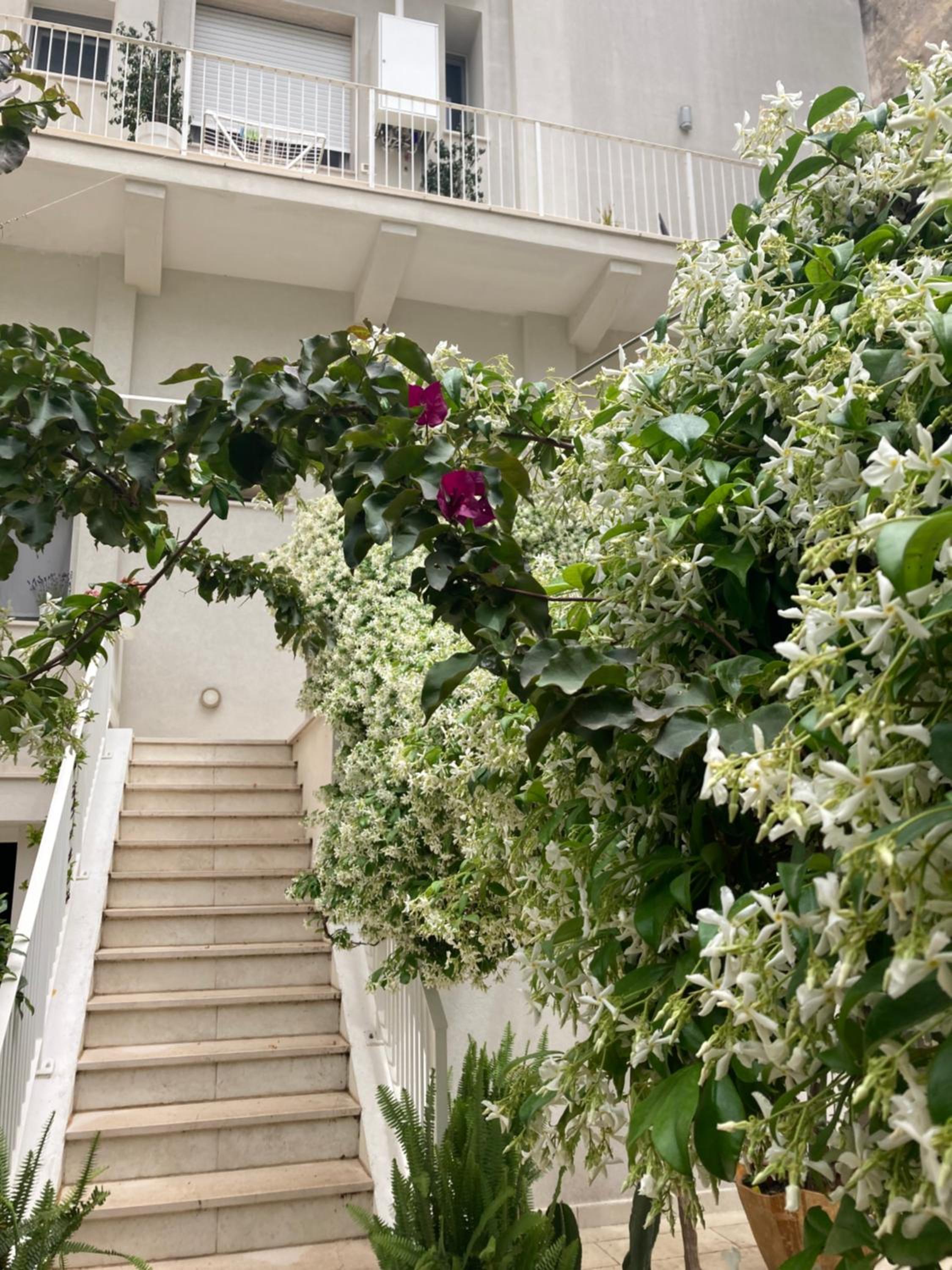 Meraki B&B