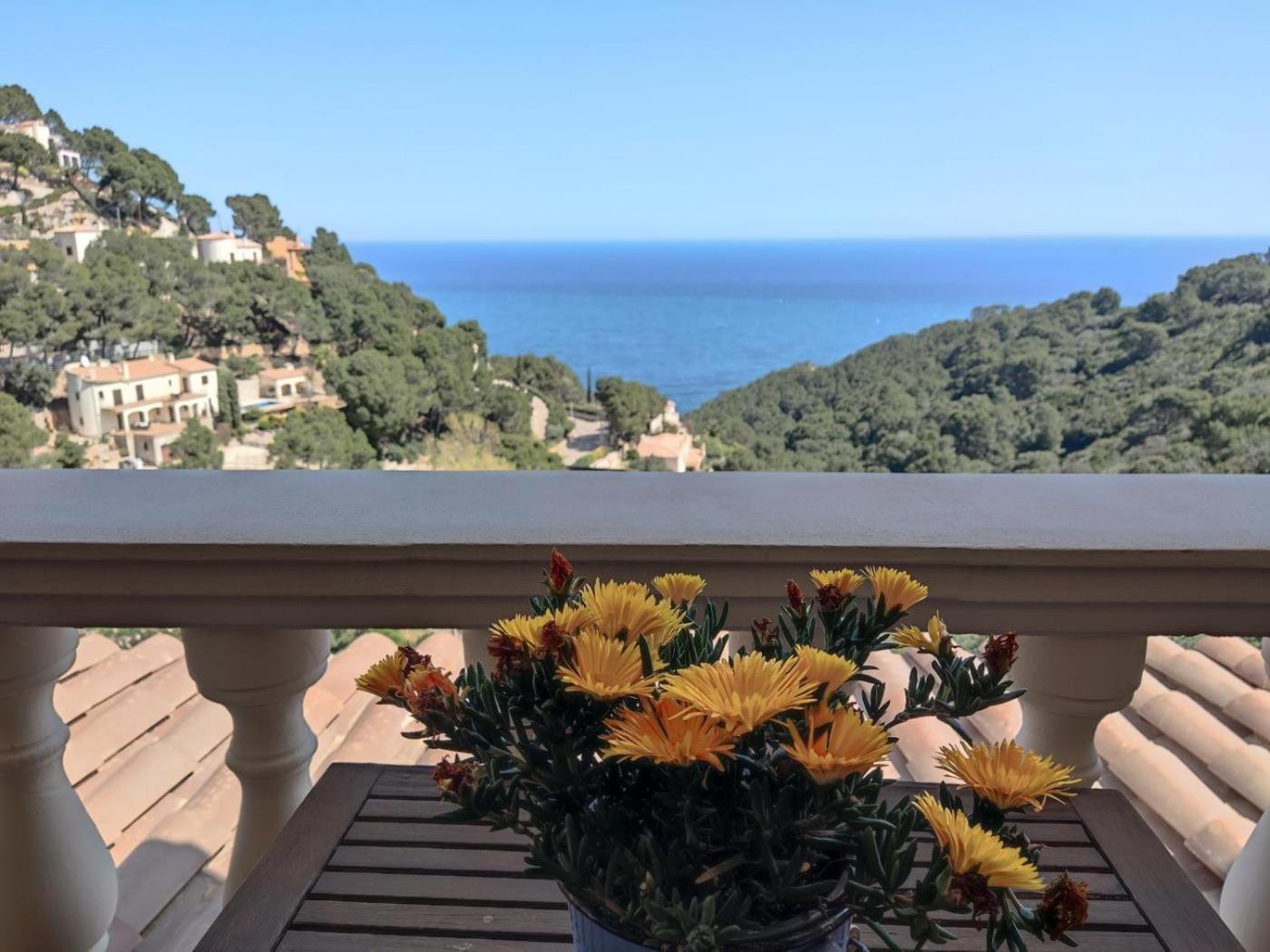Magnifique villa vue mer