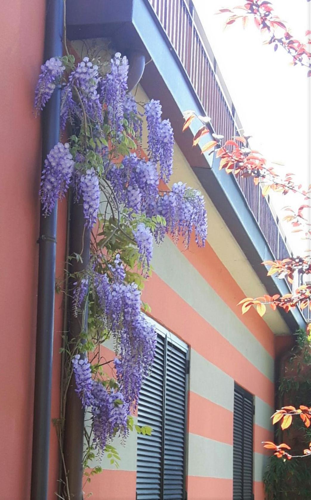 Residenza XX Settembre view 3