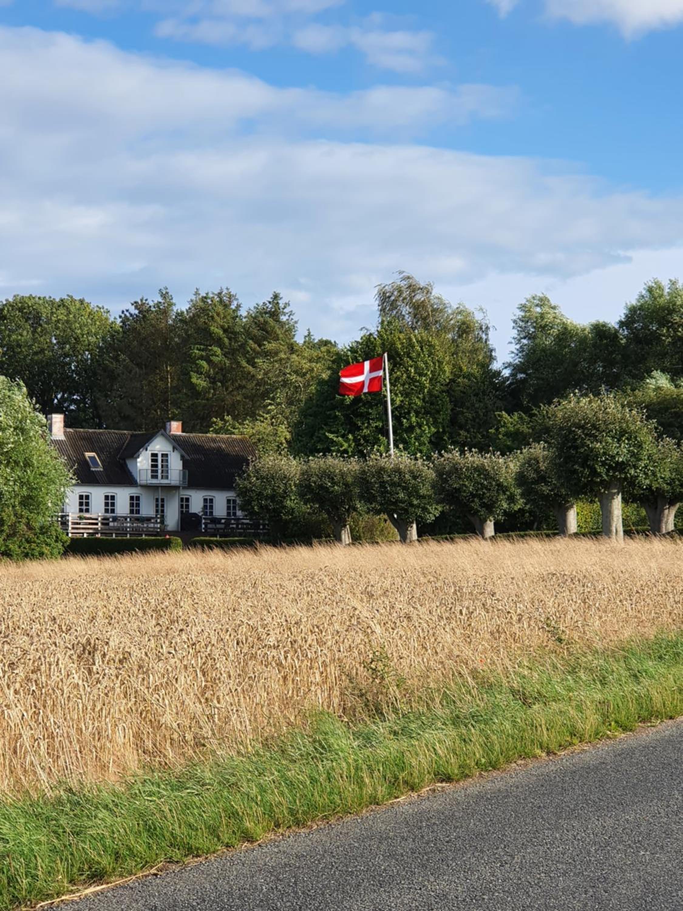 Molshøjgård
