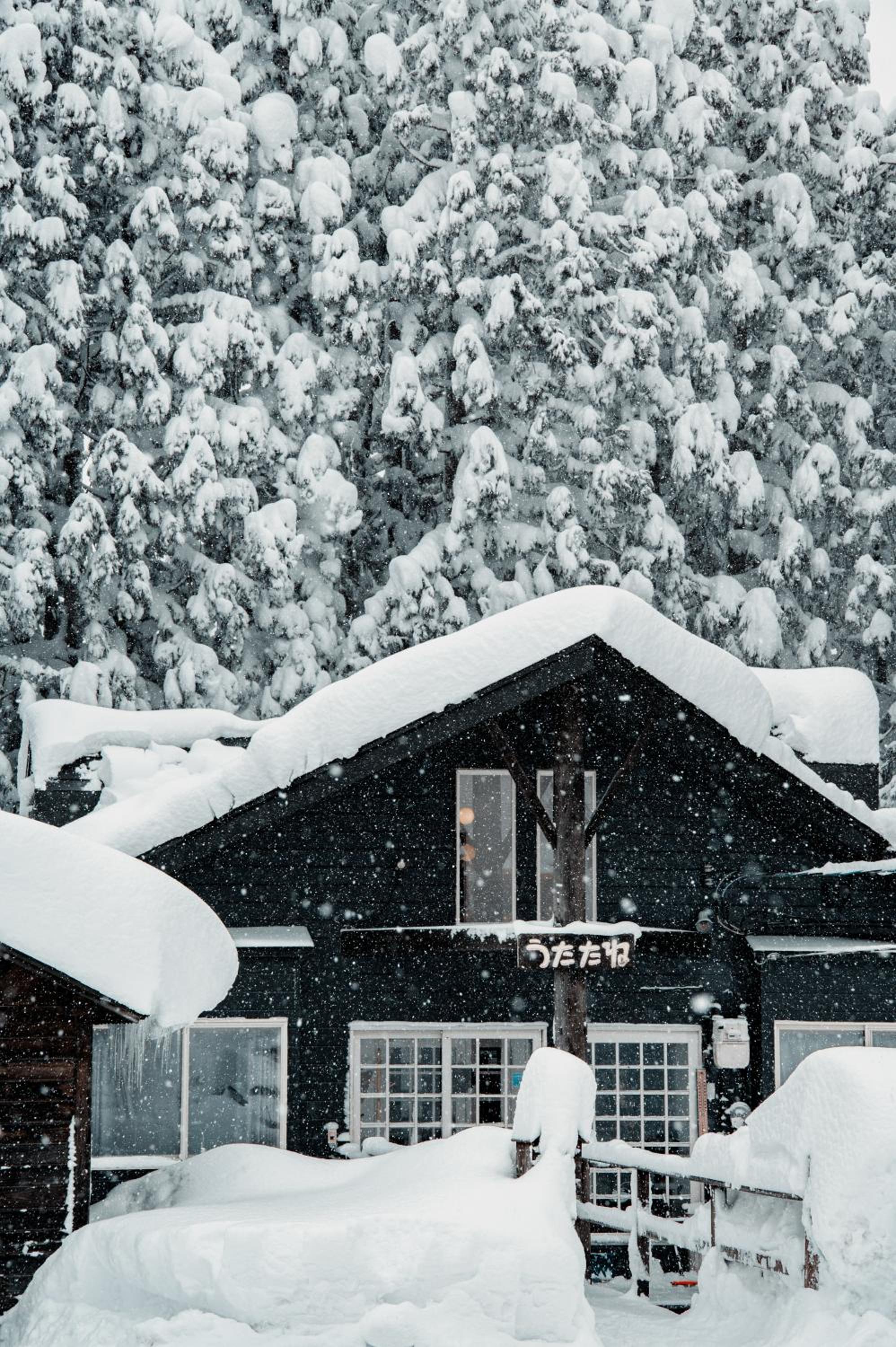 Mountain Hut Myoko