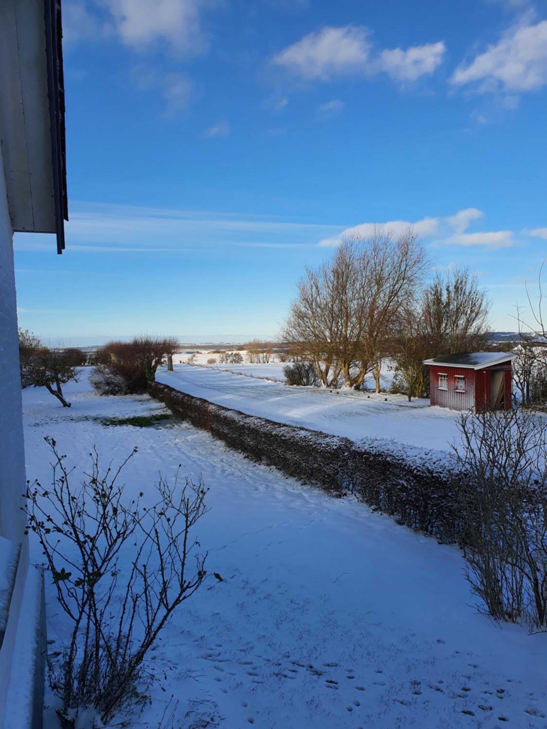 Molshøjgård