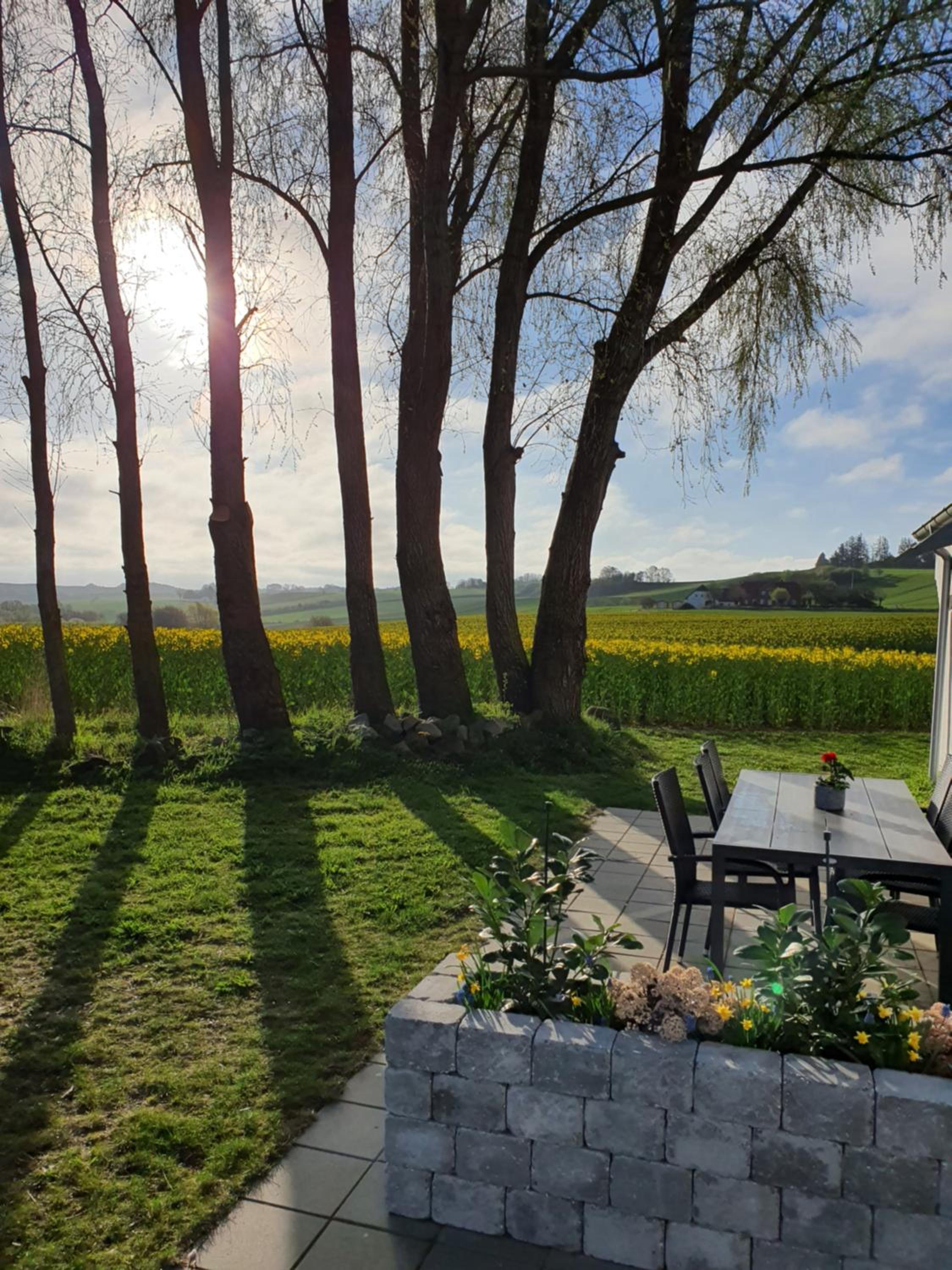 Molshøjgård