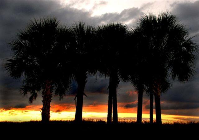 Coral Breeze by ALBVR - Pet Friendly 3BR, 2BA Beach House - Just Steps to the Beach view 3