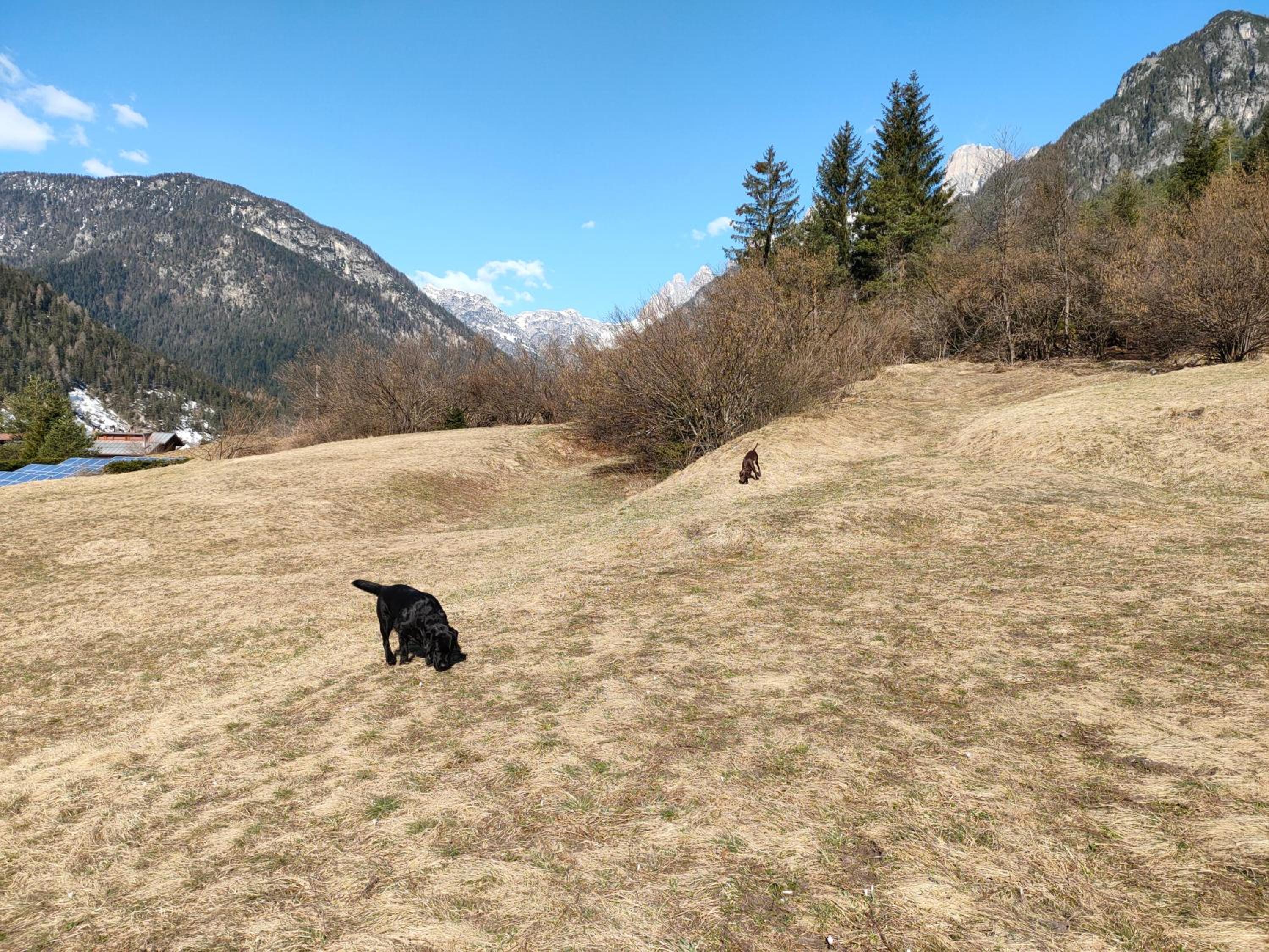 Appartamento Fronte Piste view 2
