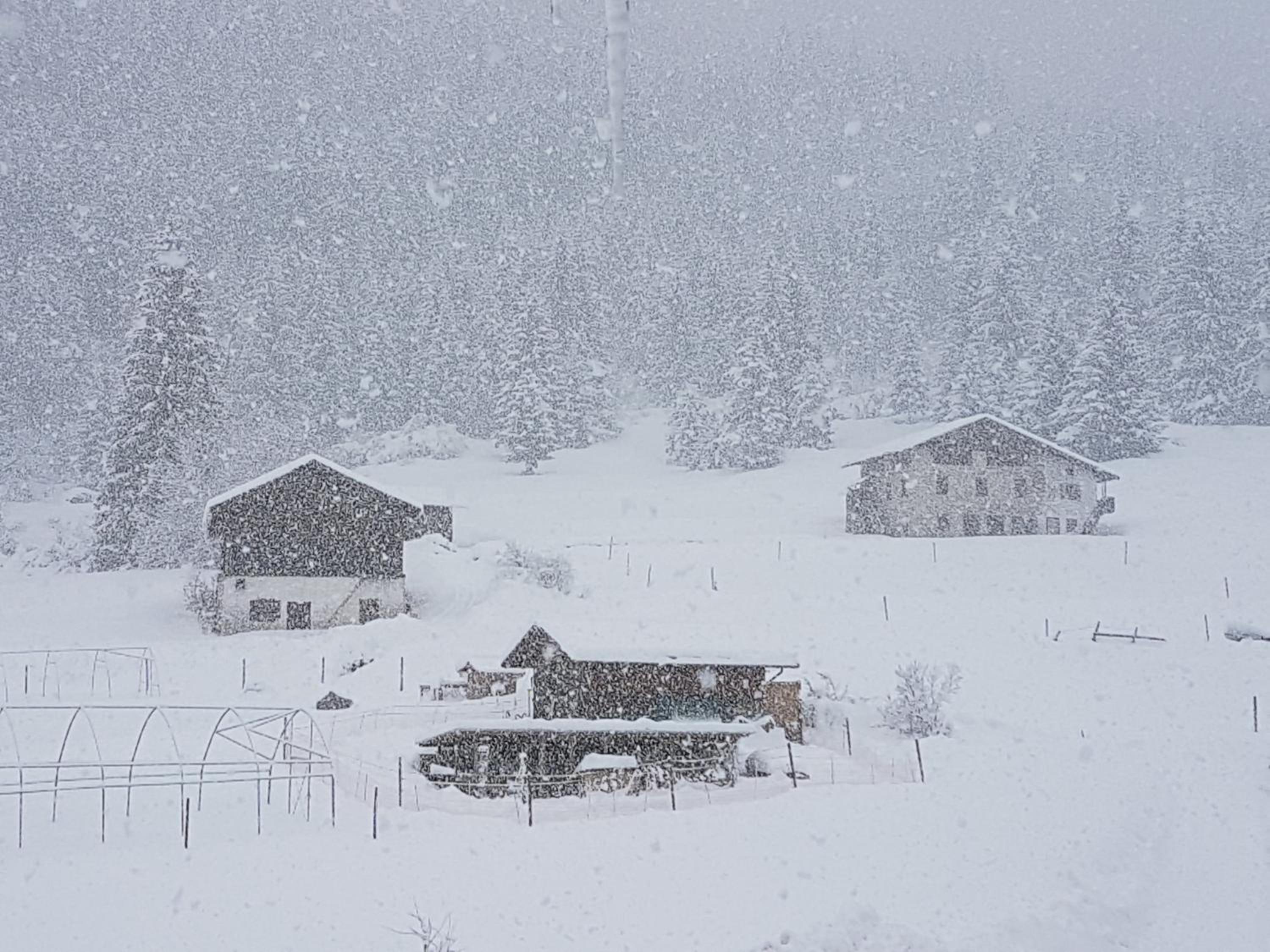 Appartamento Fronte Piste view 5
