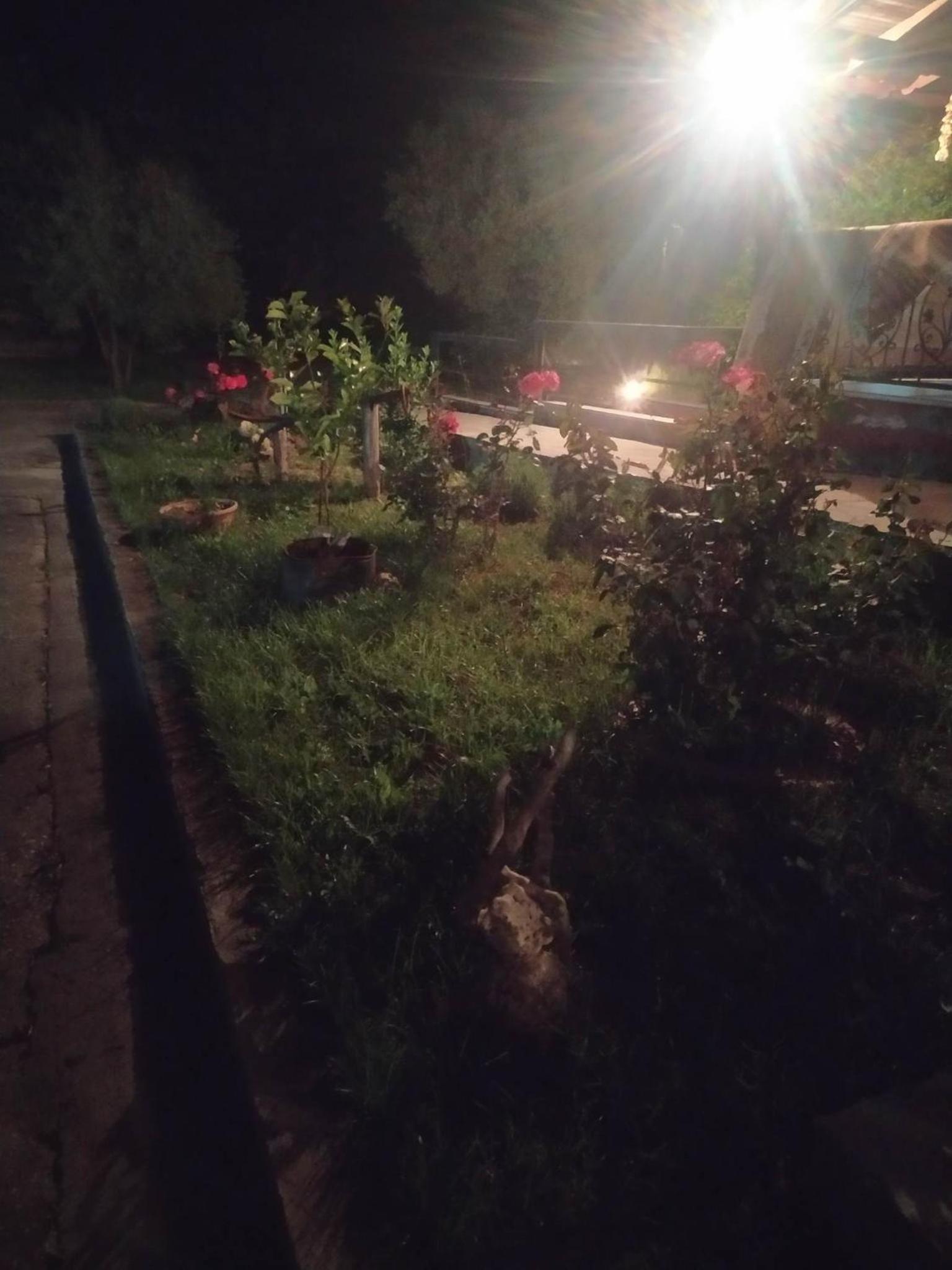 XAROULA APARTMENTS