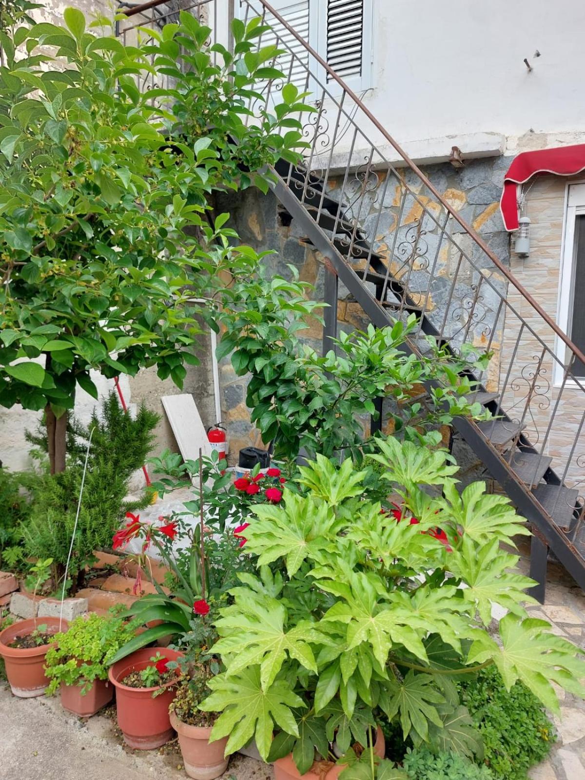 Herta Apartment