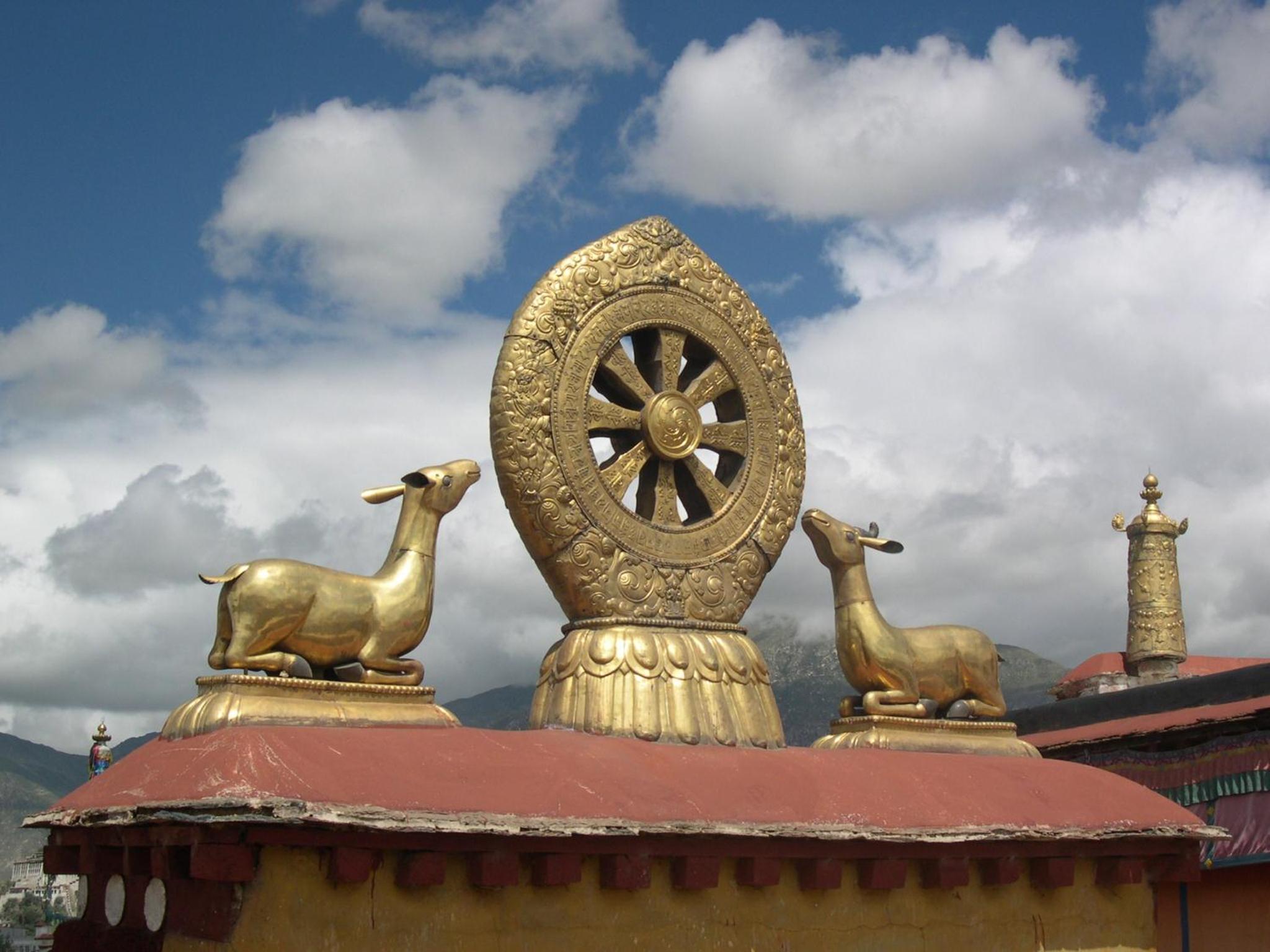 B&B Piccolo Tibet